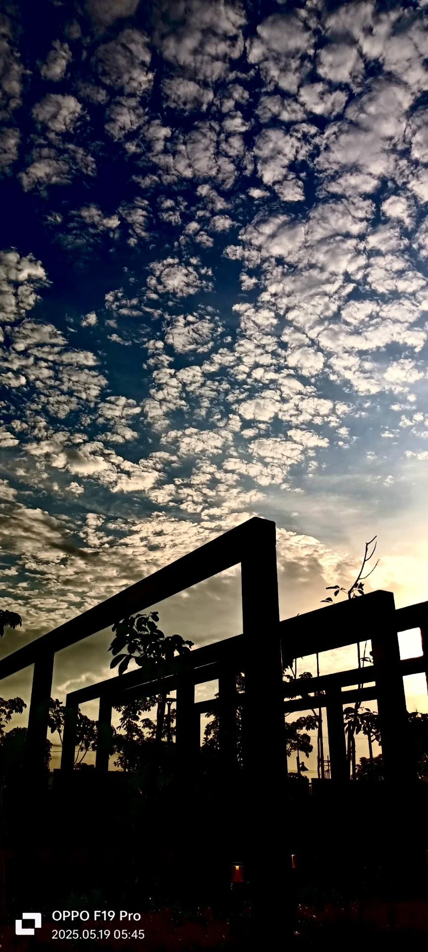 Debasish Bose  portfolio work