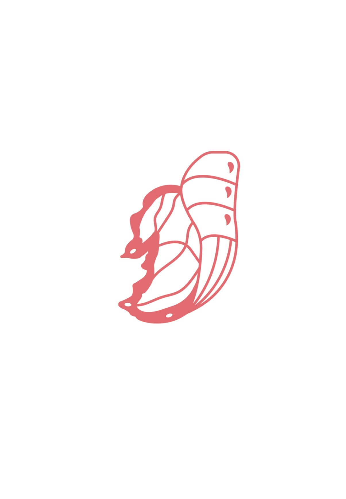 Crisalide profile photo