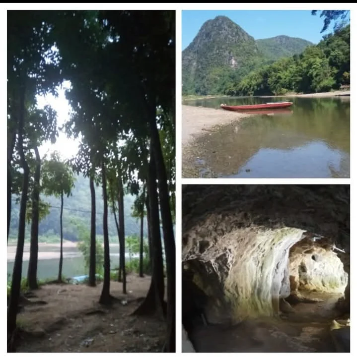 inbound2598493452800959135