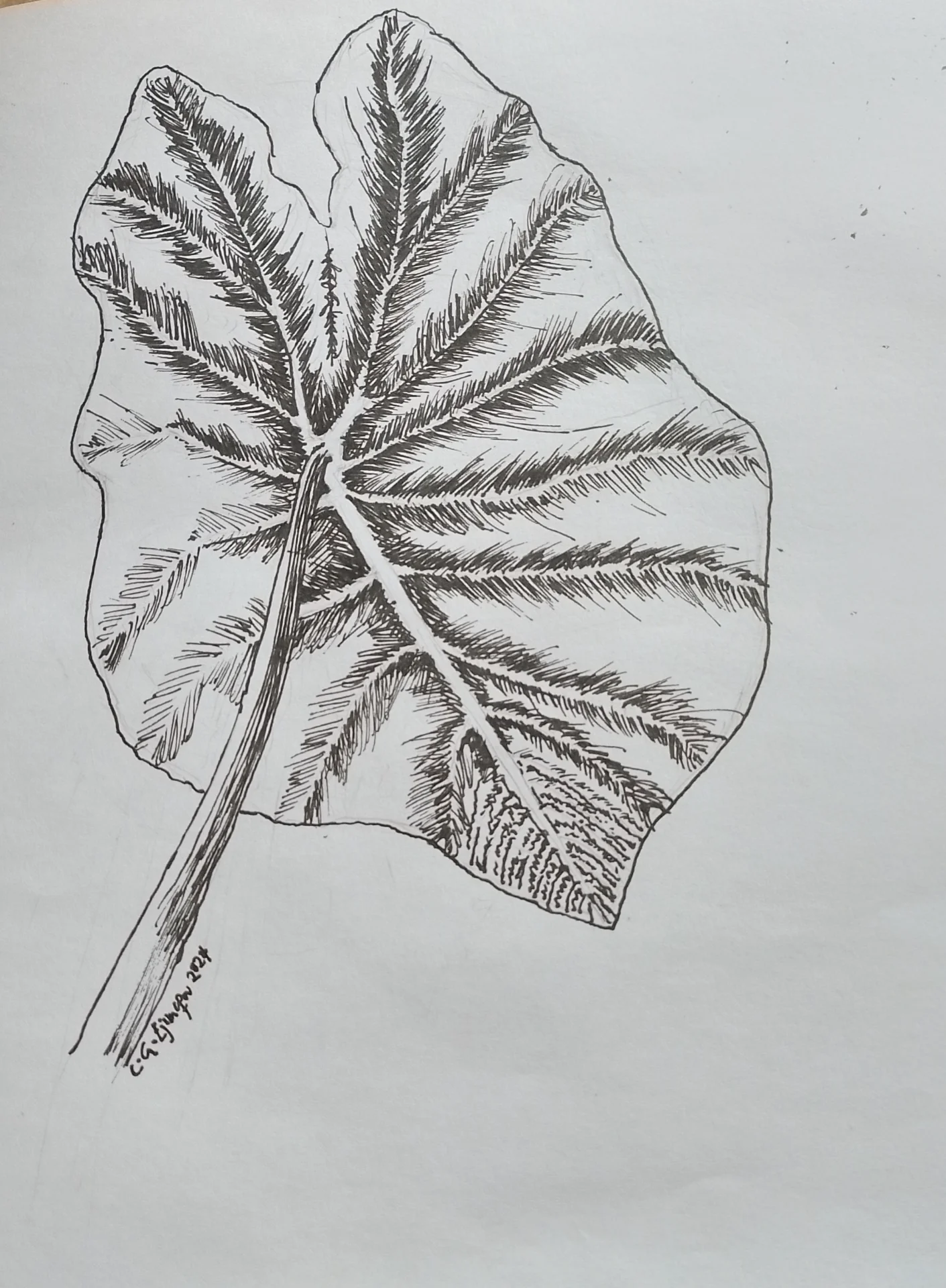 inbound6545099034047973138