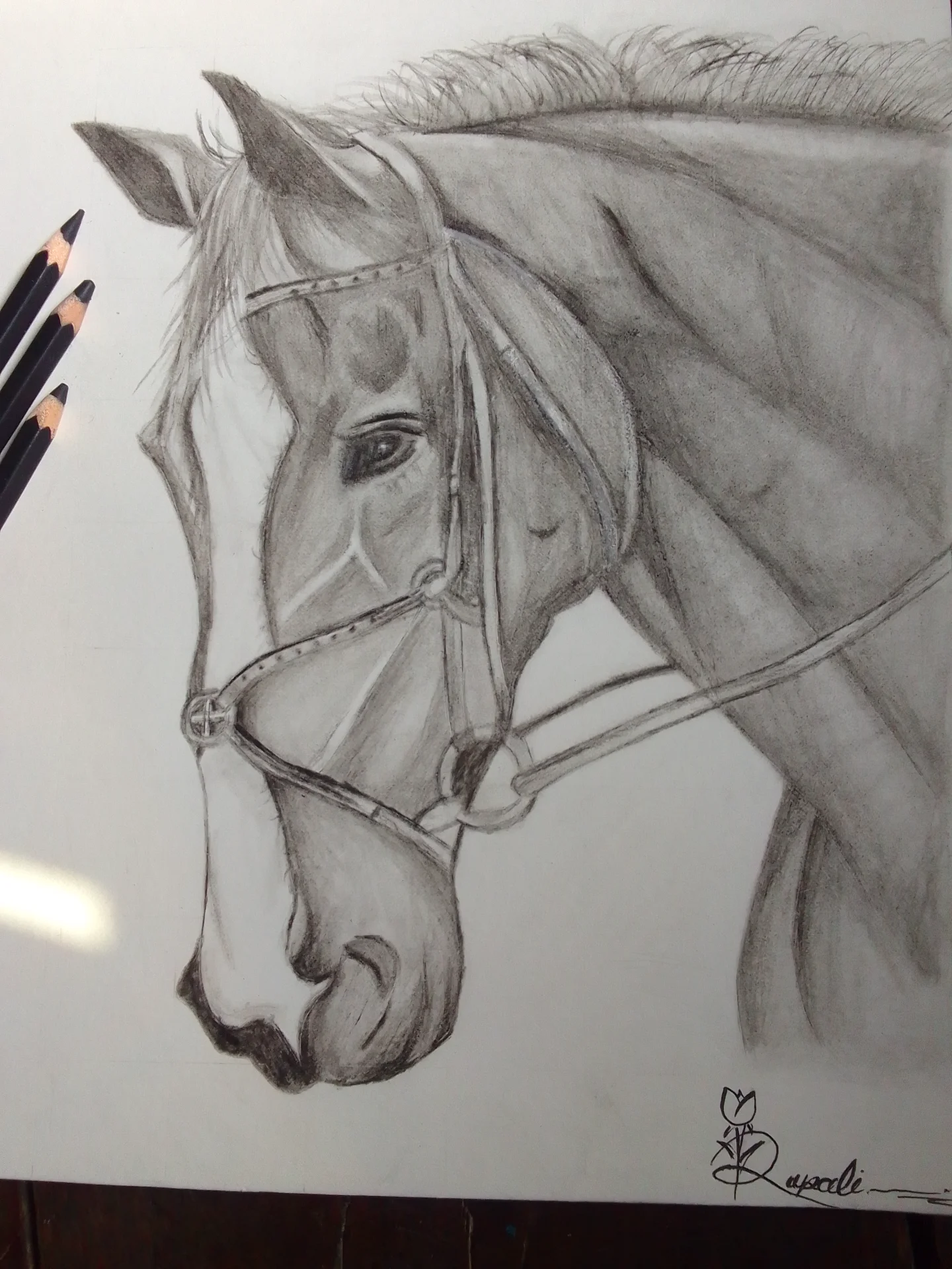 inbound9032622400880123162