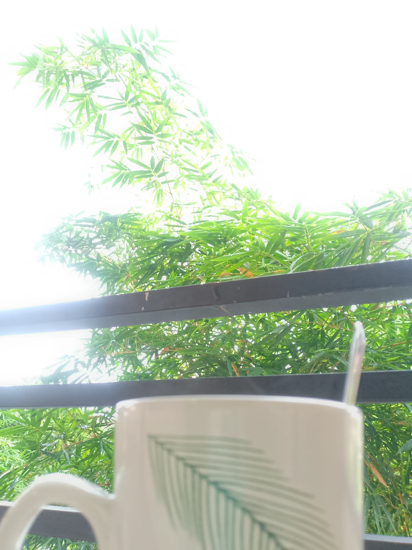 himpayannoel portfolio work