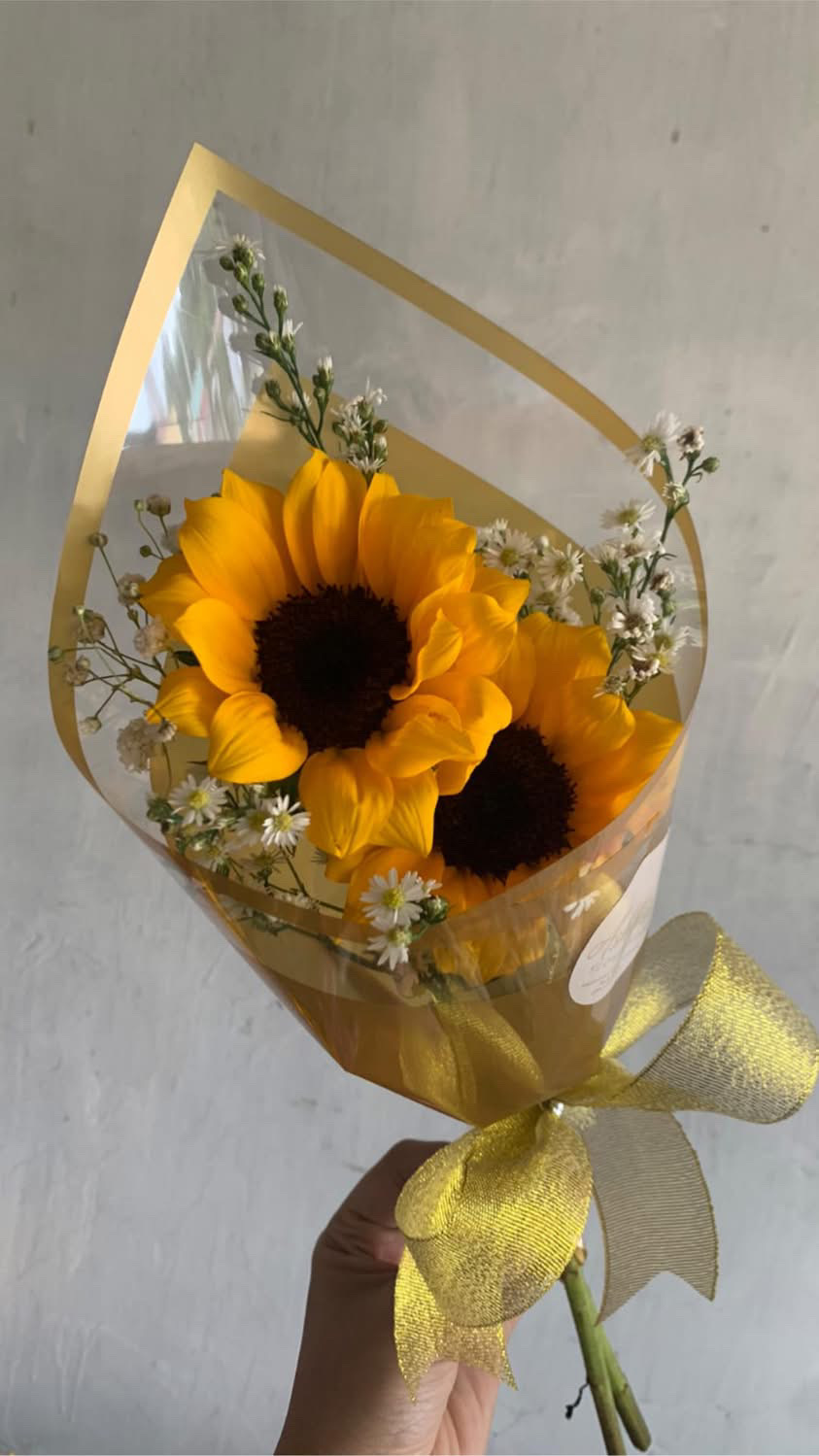 5206E338-B7E7-4109-AE0B-E37DB1CAC3CD