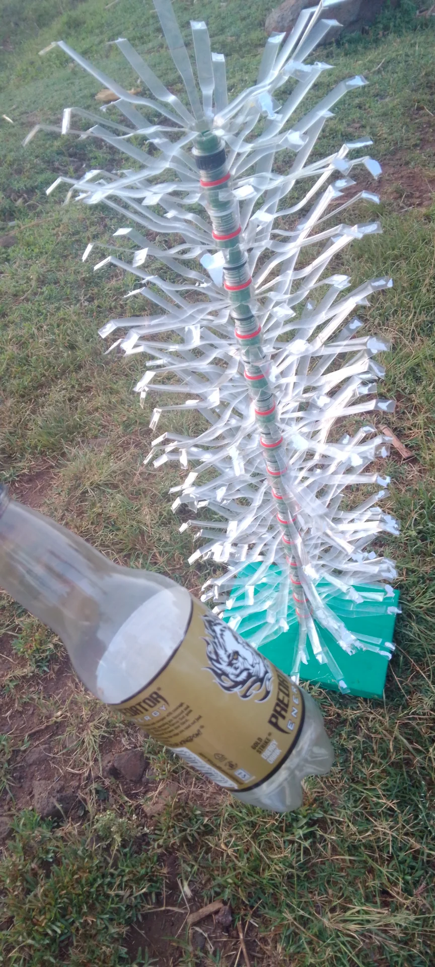 inbound2566429786621841042