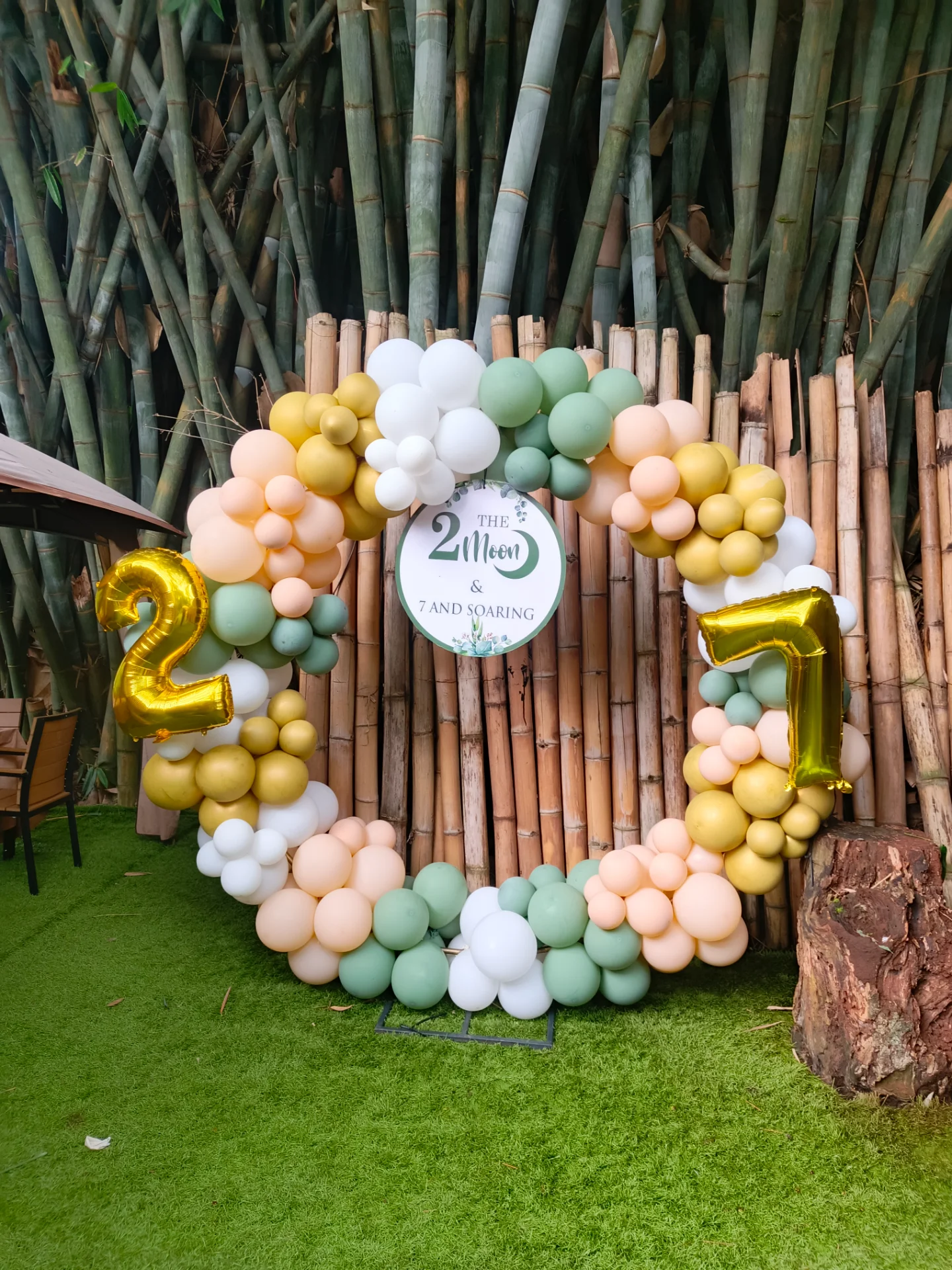 inbound8356477043352920183