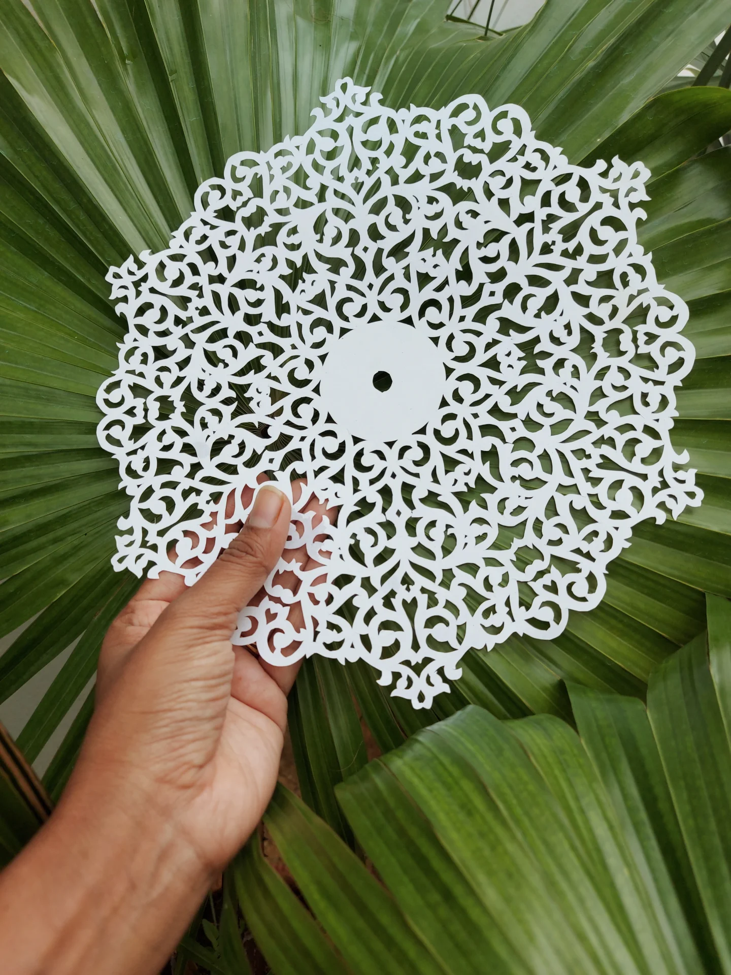 inbound5646943606750468831