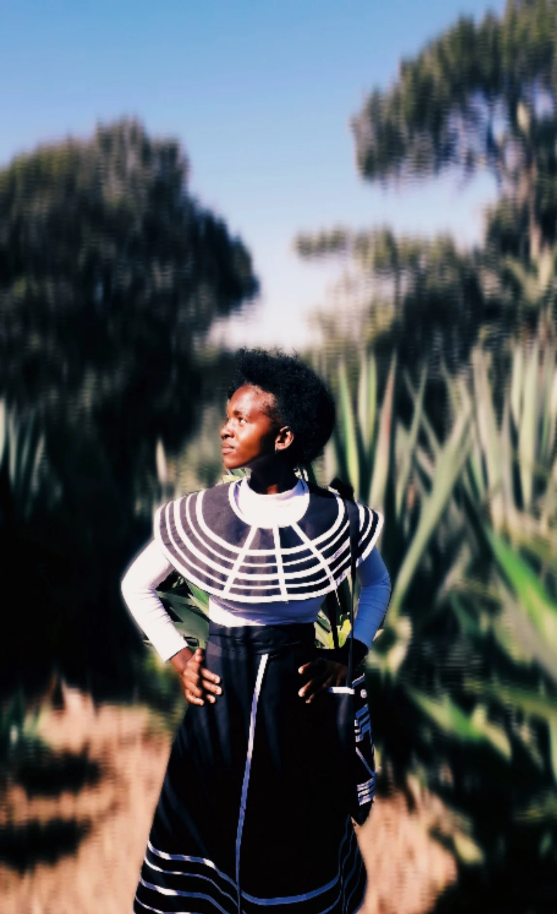 honobroke.motion.vision portfolio work