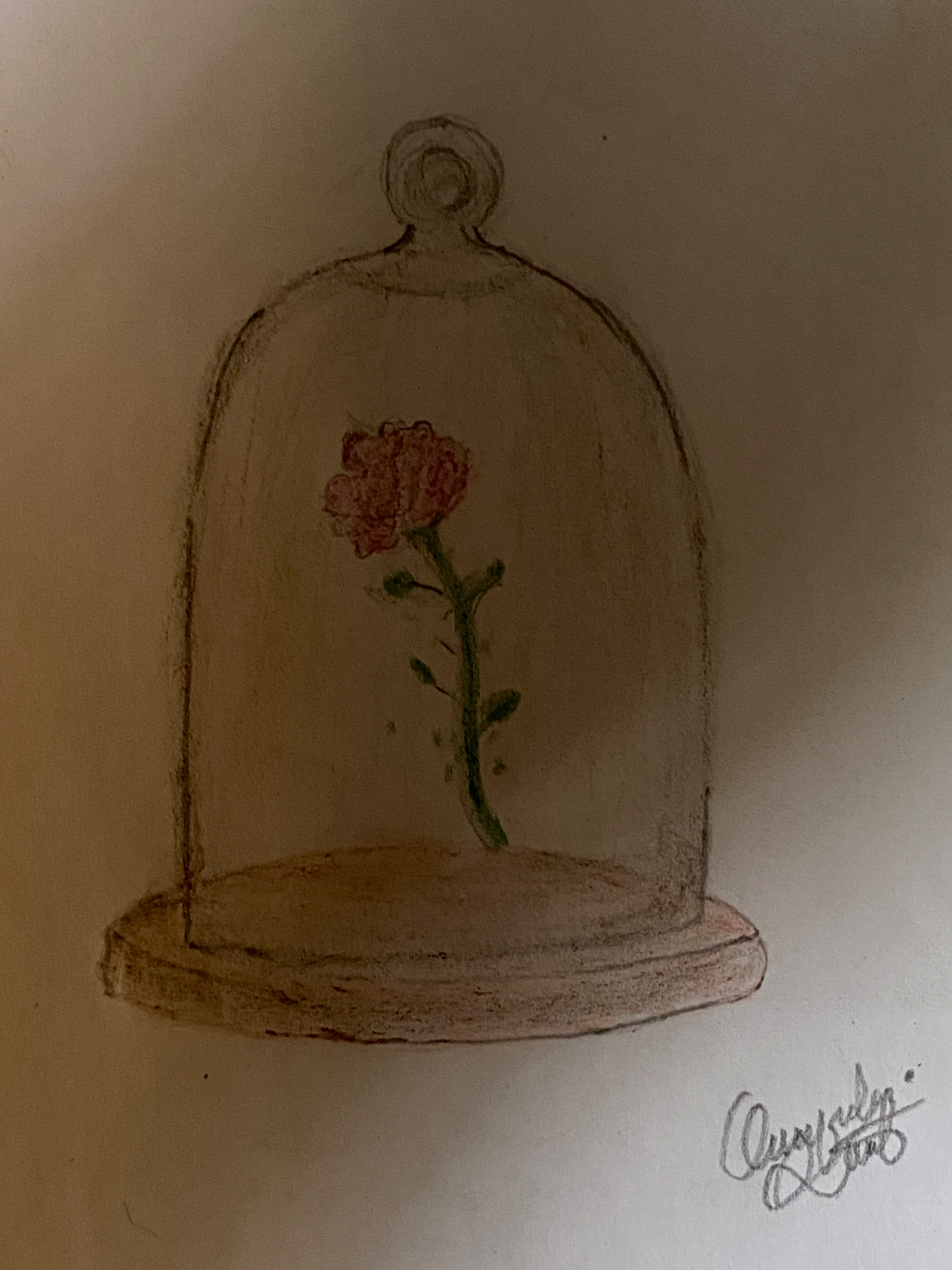 mufidasister portfolio work