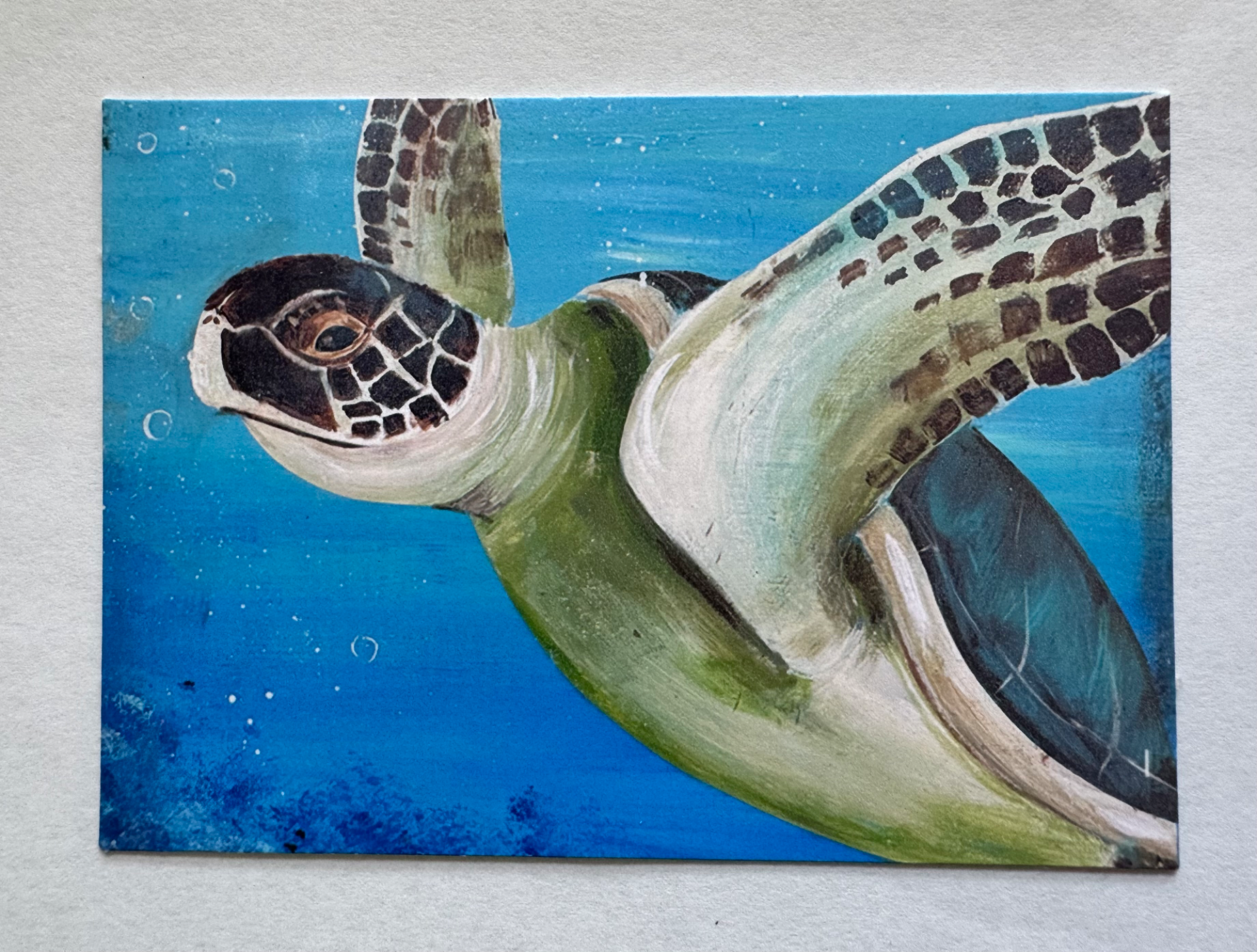 Artistrita portfolio work