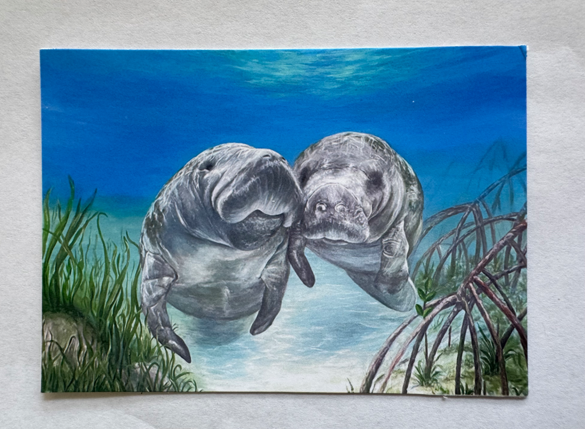 Artistrita portfolio work