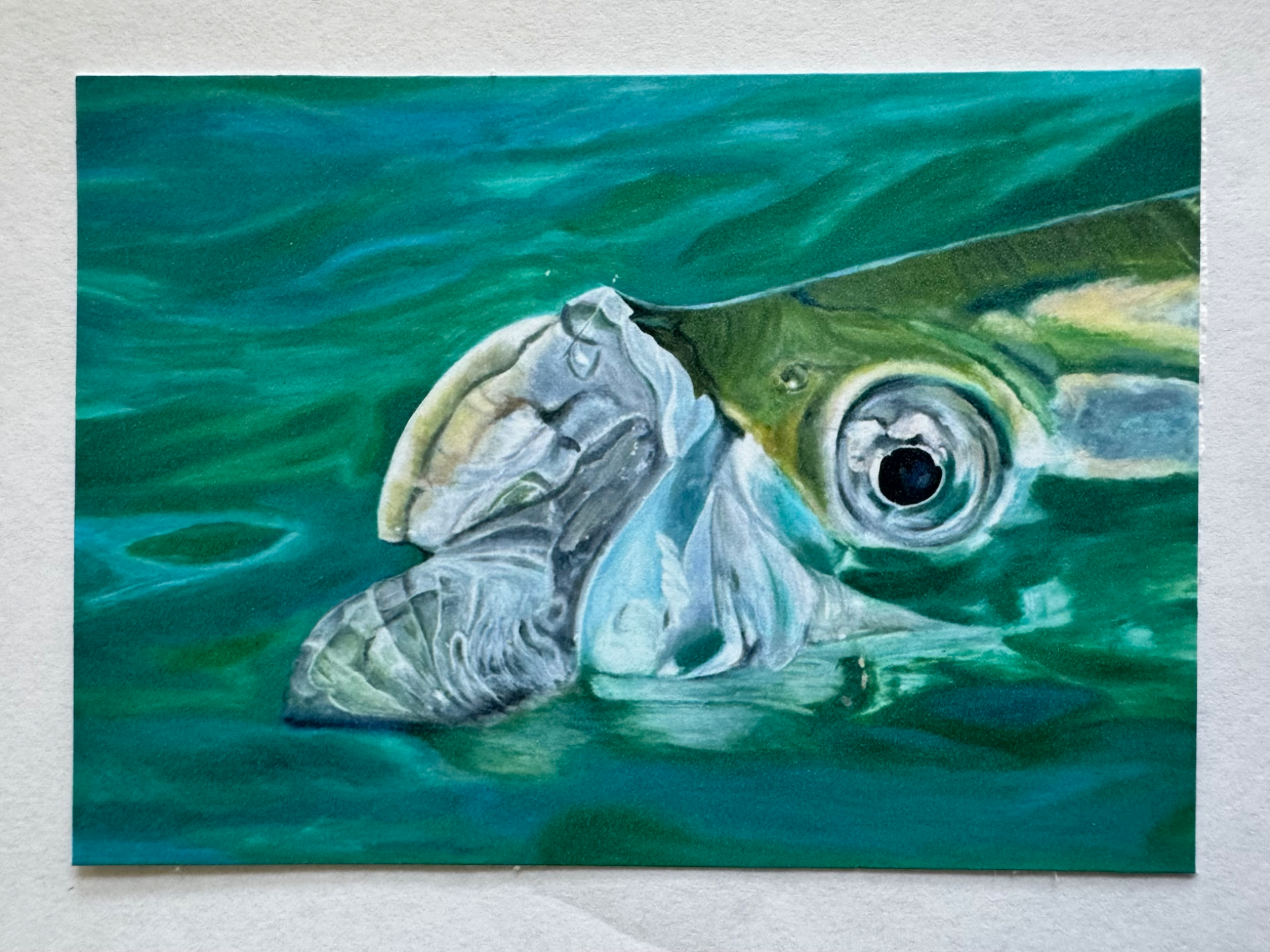 Artistrita portfolio work