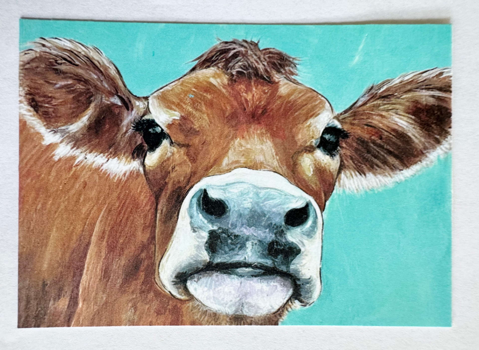 Artistrita portfolio work