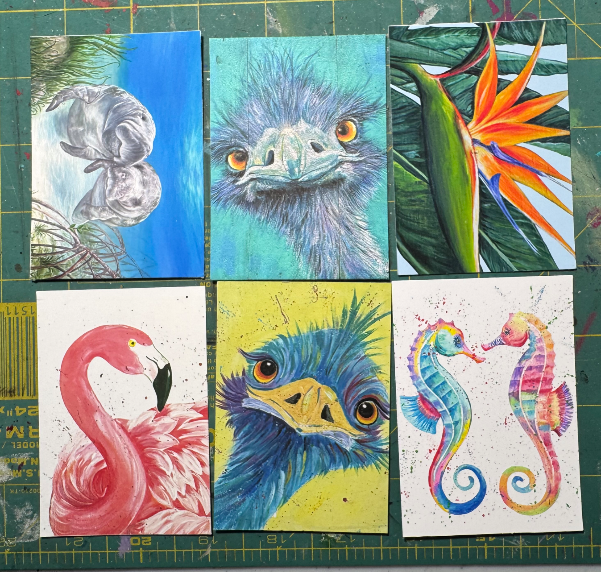 Artistrita portfolio work