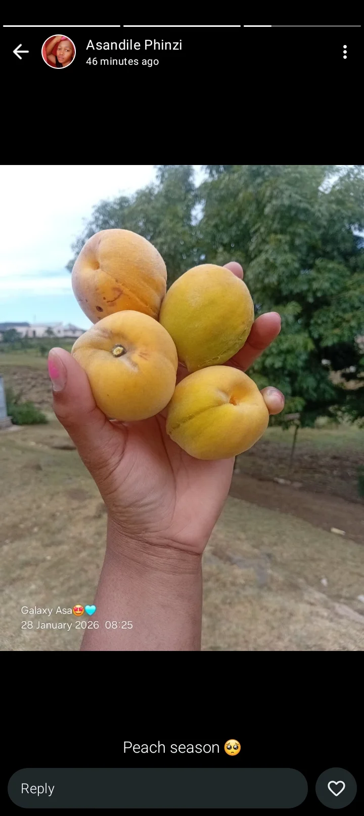 Screenshot_20260128_093307