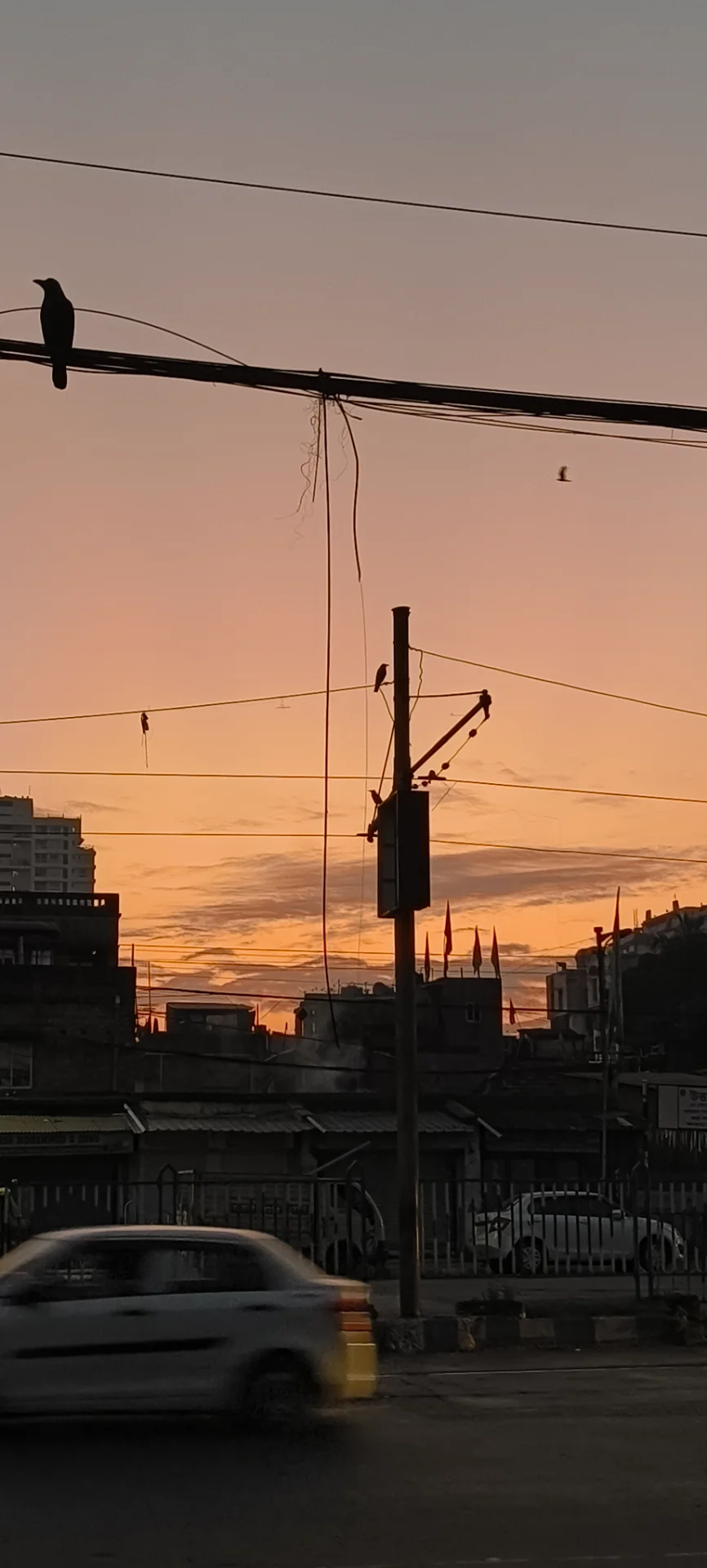 inbound9081009812240013334