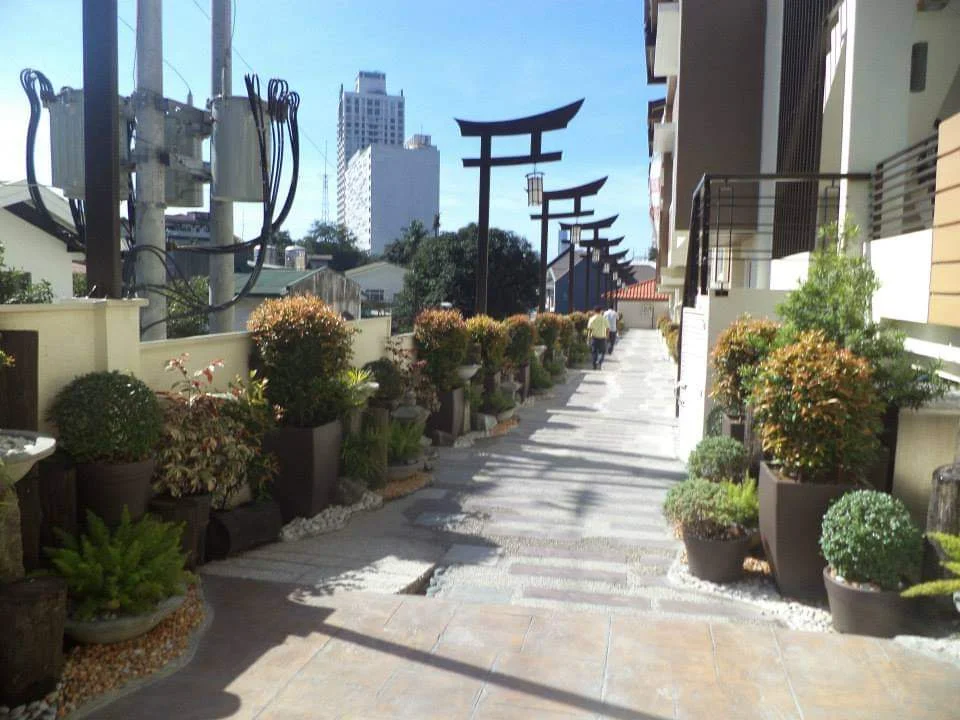 inbound6795206713952695607