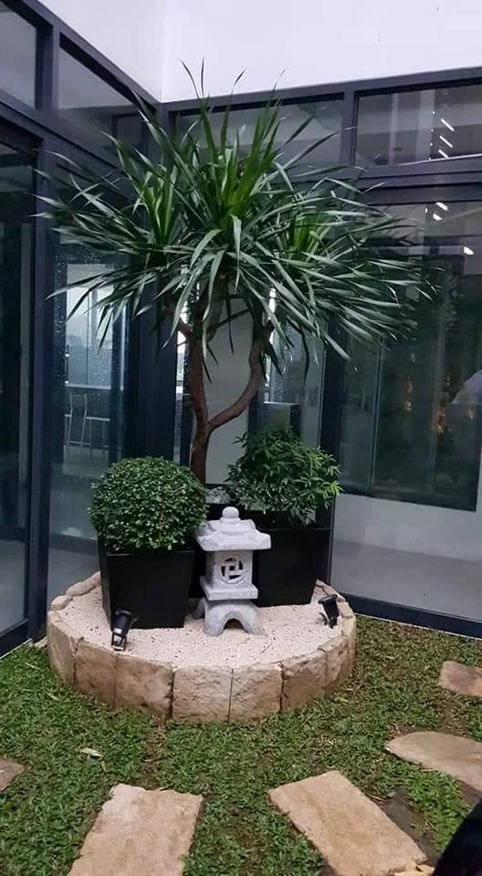 inbound4577663910643258768