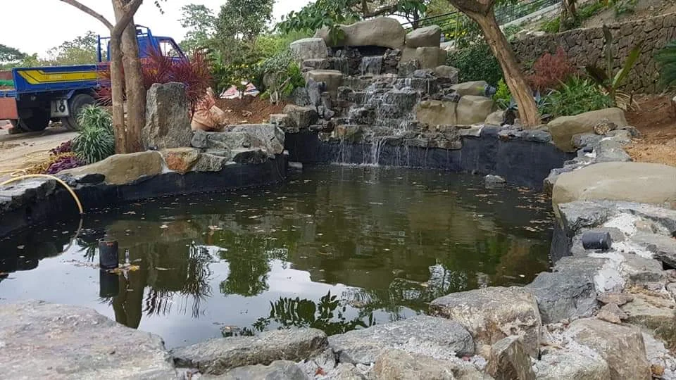 inbound9167400907567005748