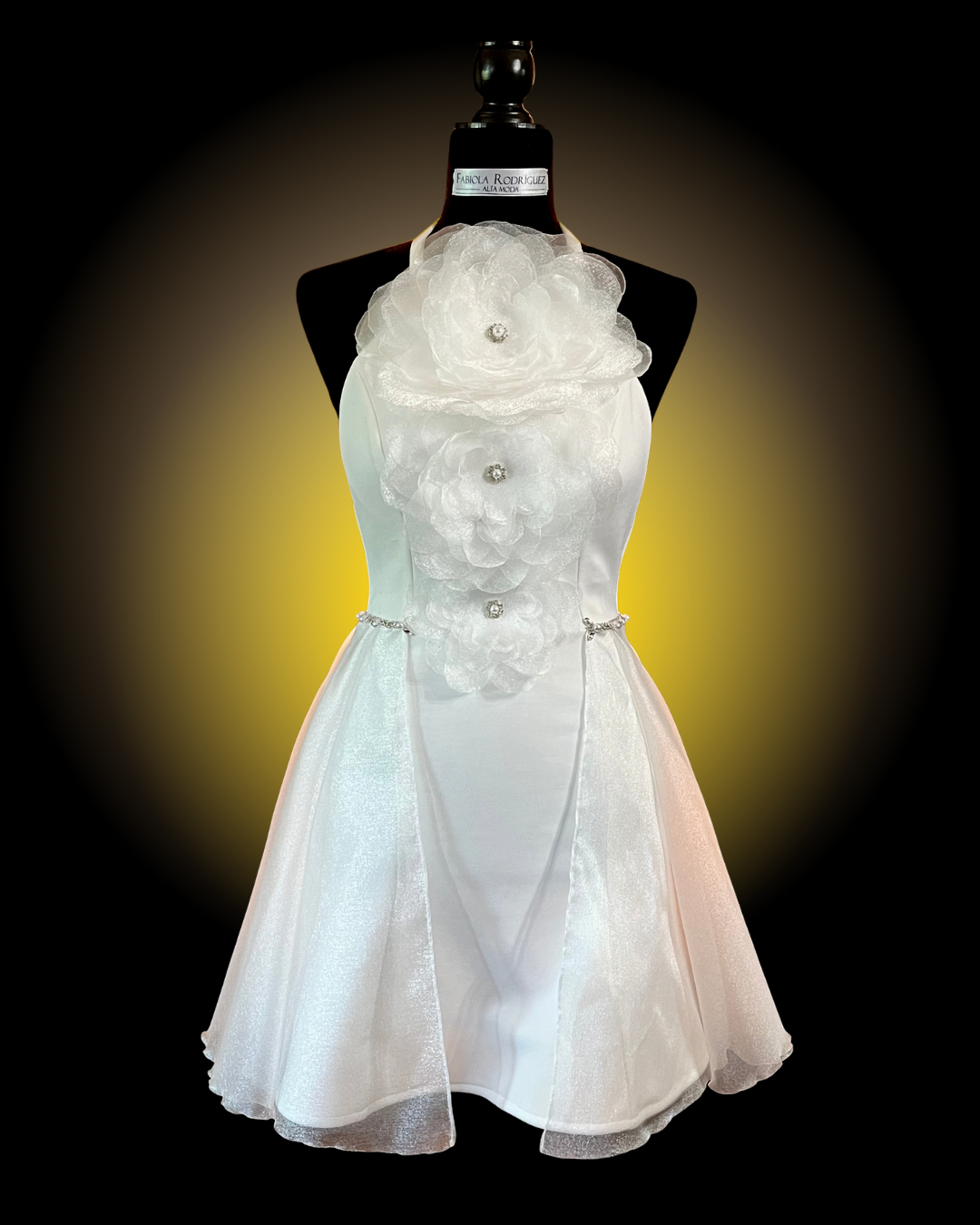 Fabiola Rodriguez  portfolio work