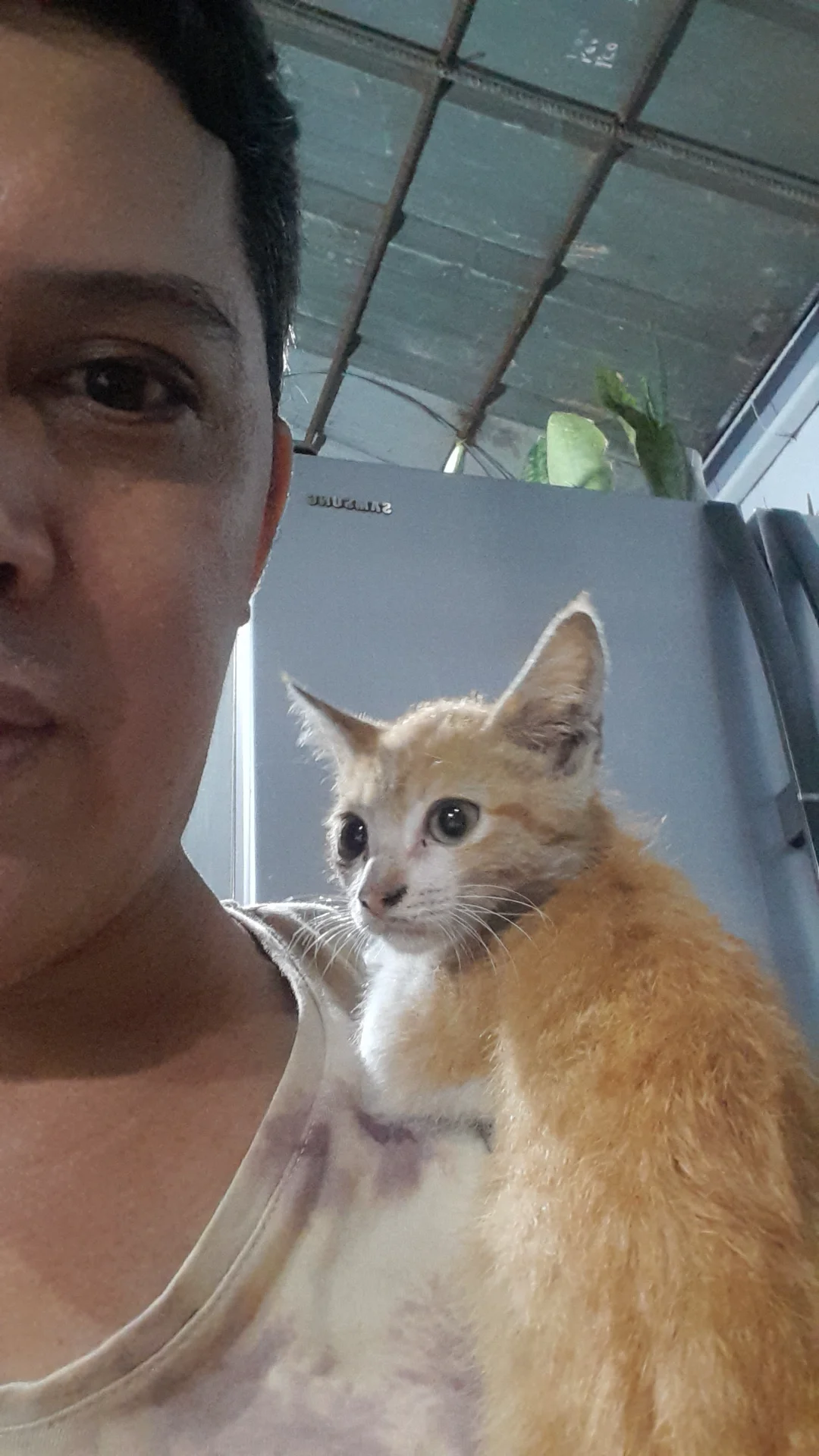 inbound4070264175424335896