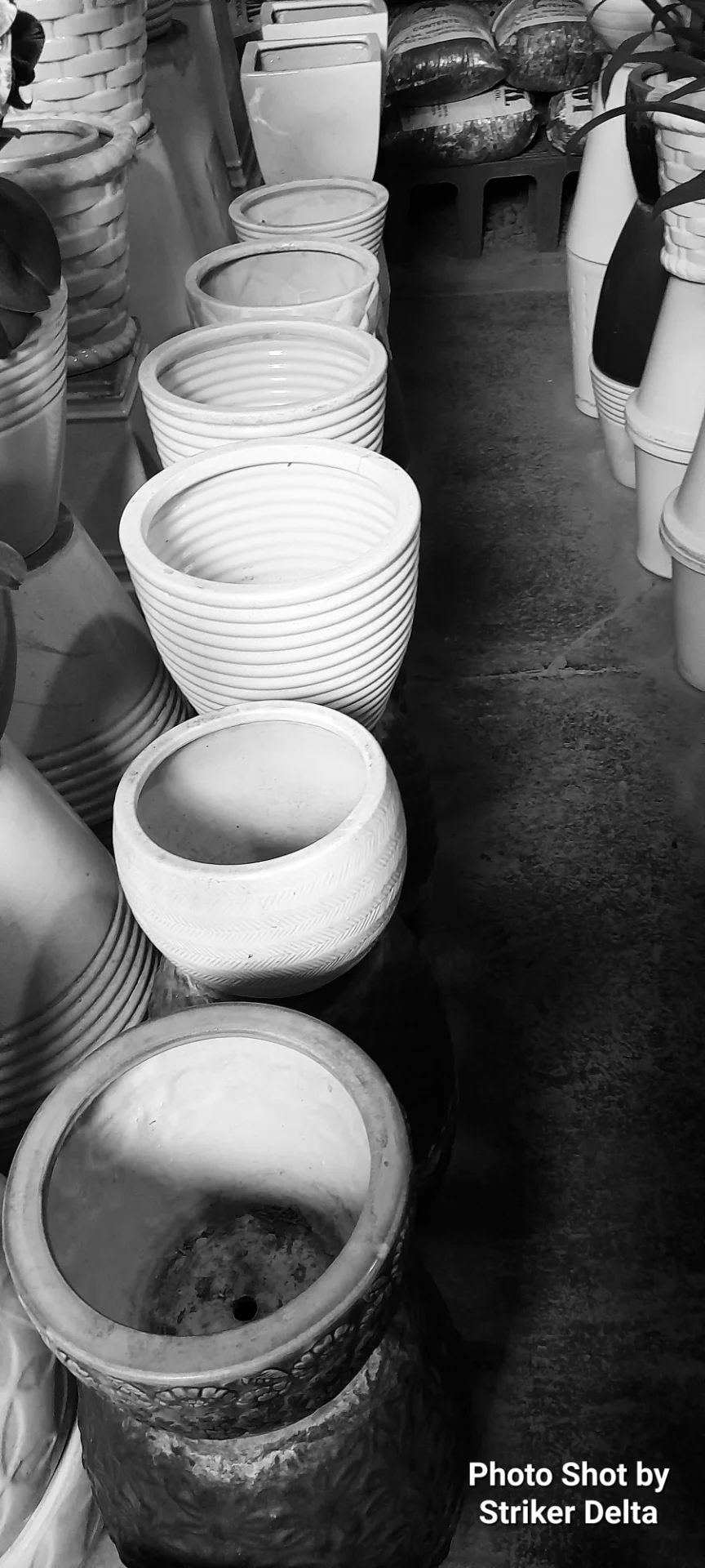 Striker Delta portfolio work