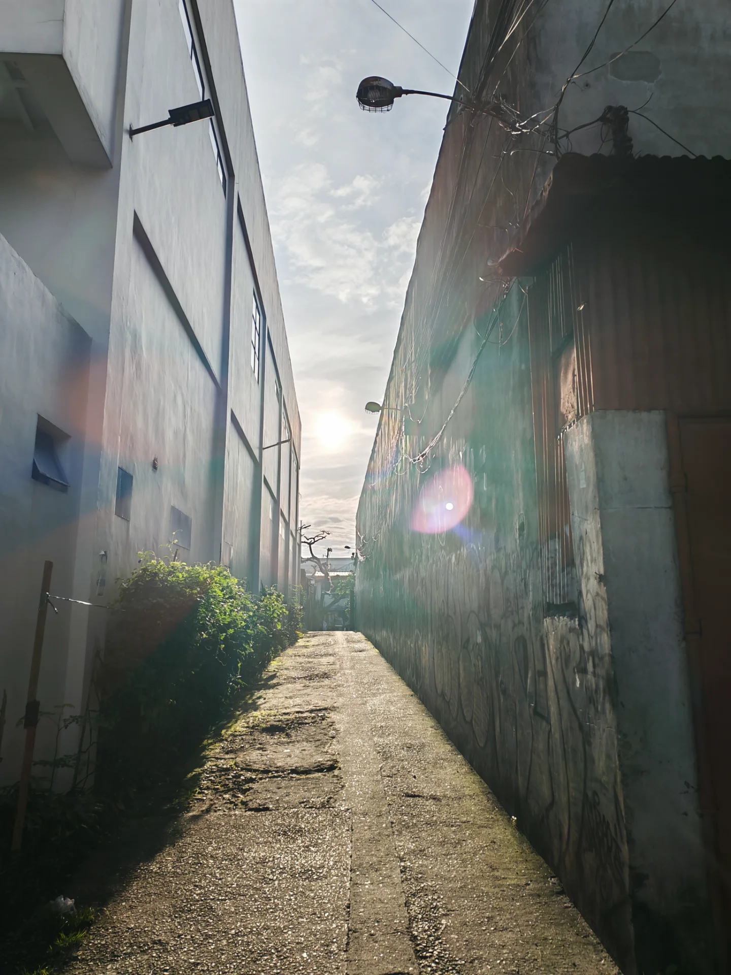 inbound3803843567959914866