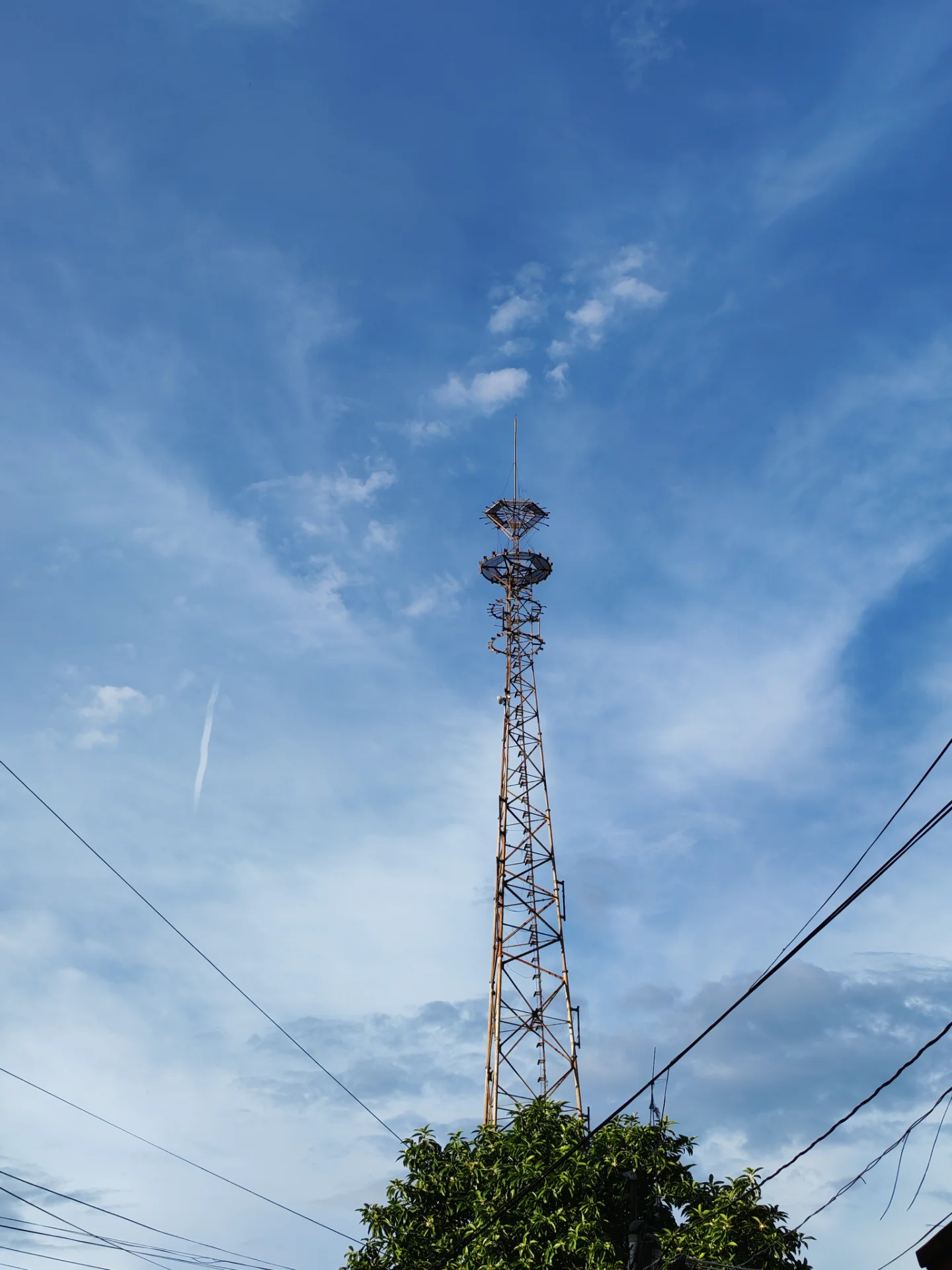 inbound2107478374889633865