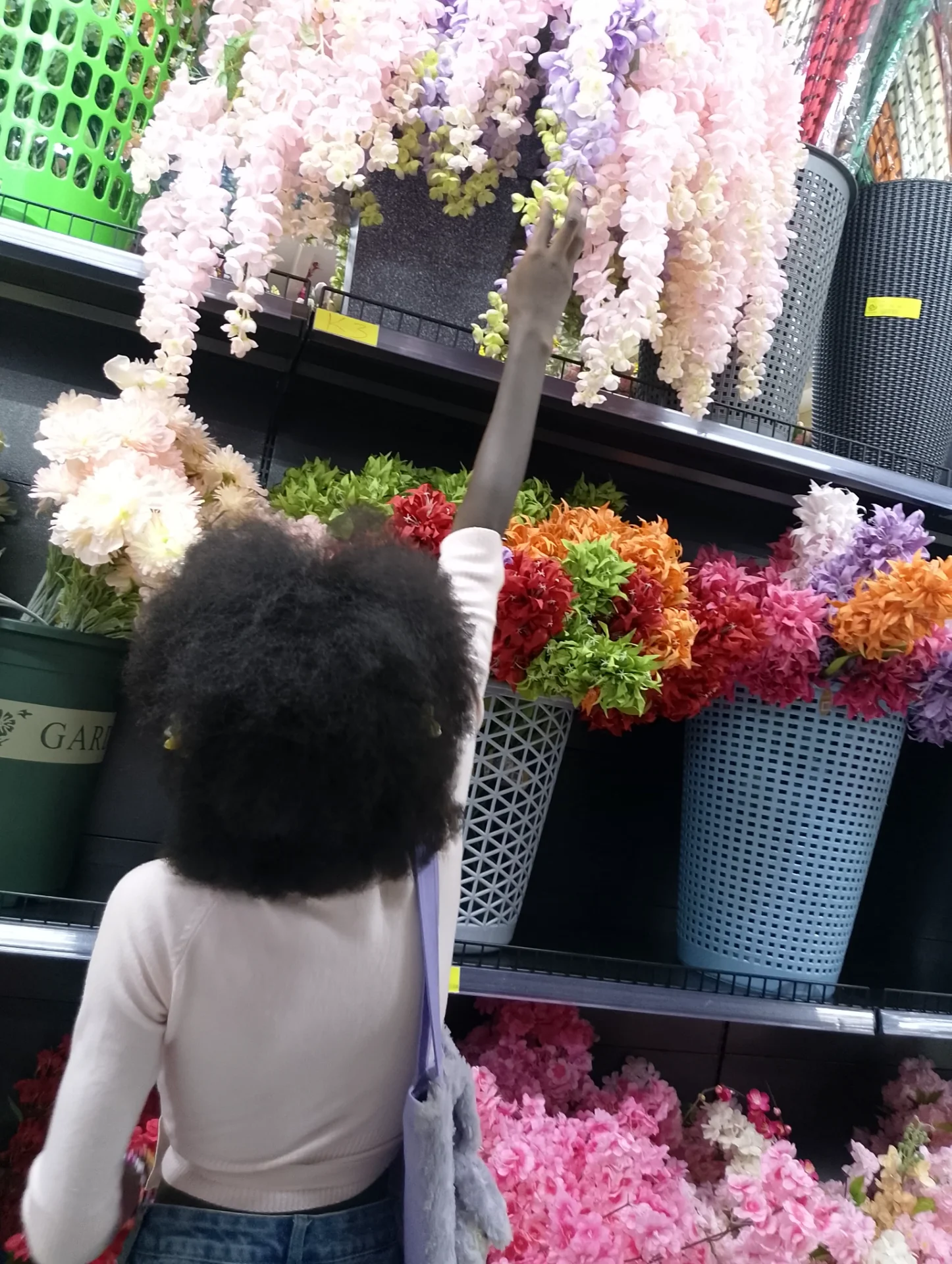 inbound2198243015526383700