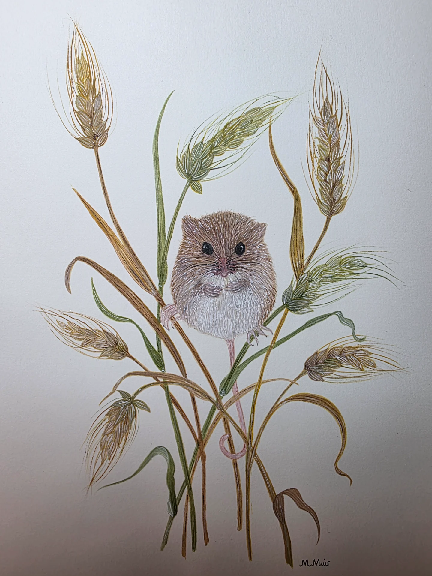 inbound1966192758653902829