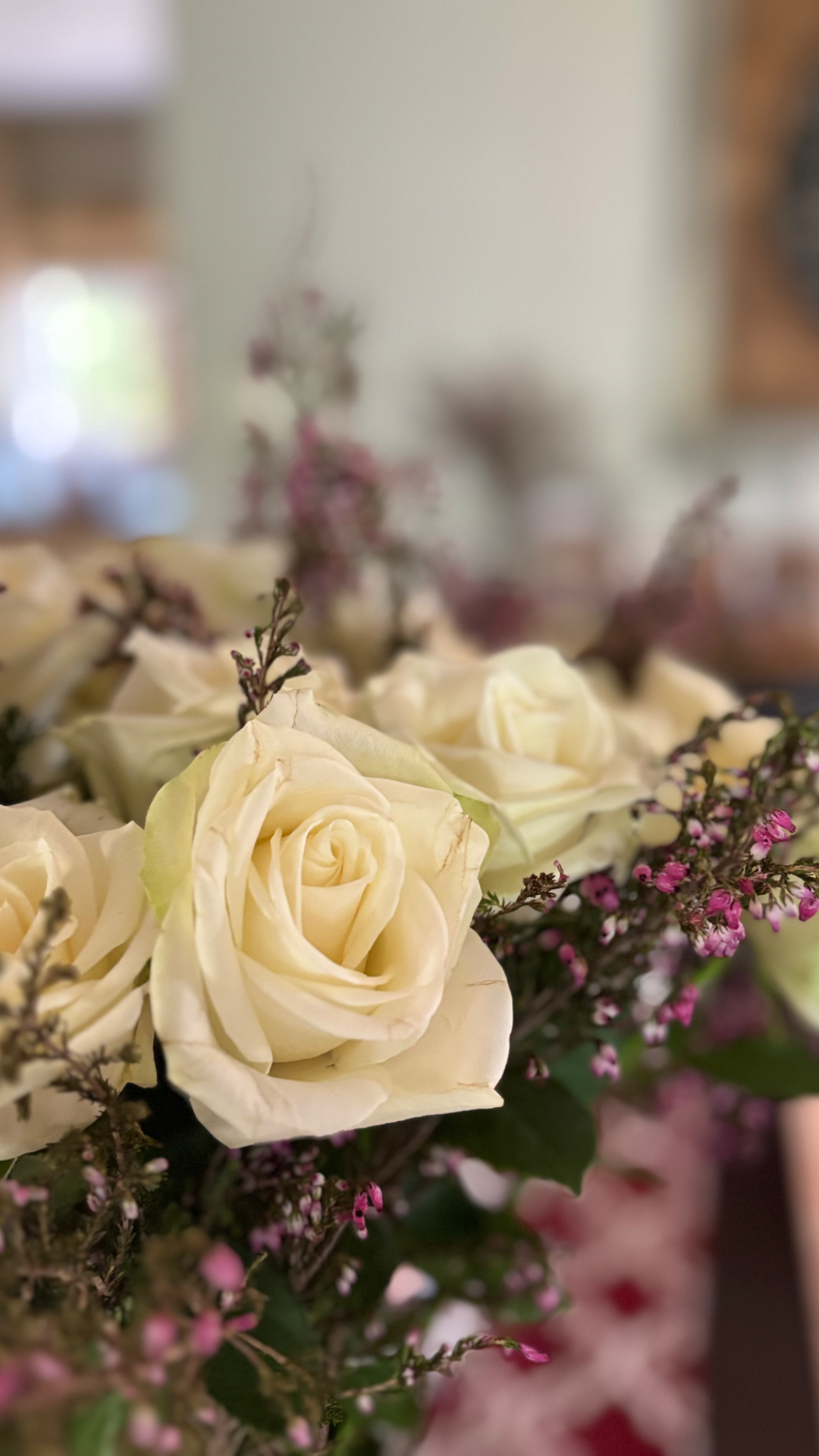 ciampi portfolio work