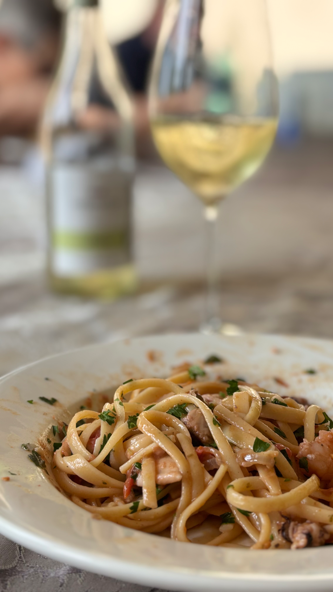 ciampi portfolio work