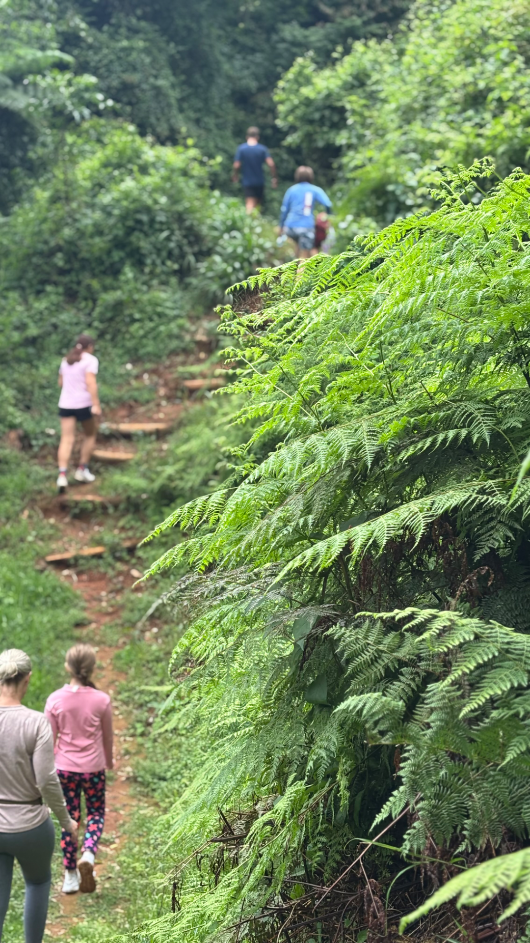 ciampi portfolio work