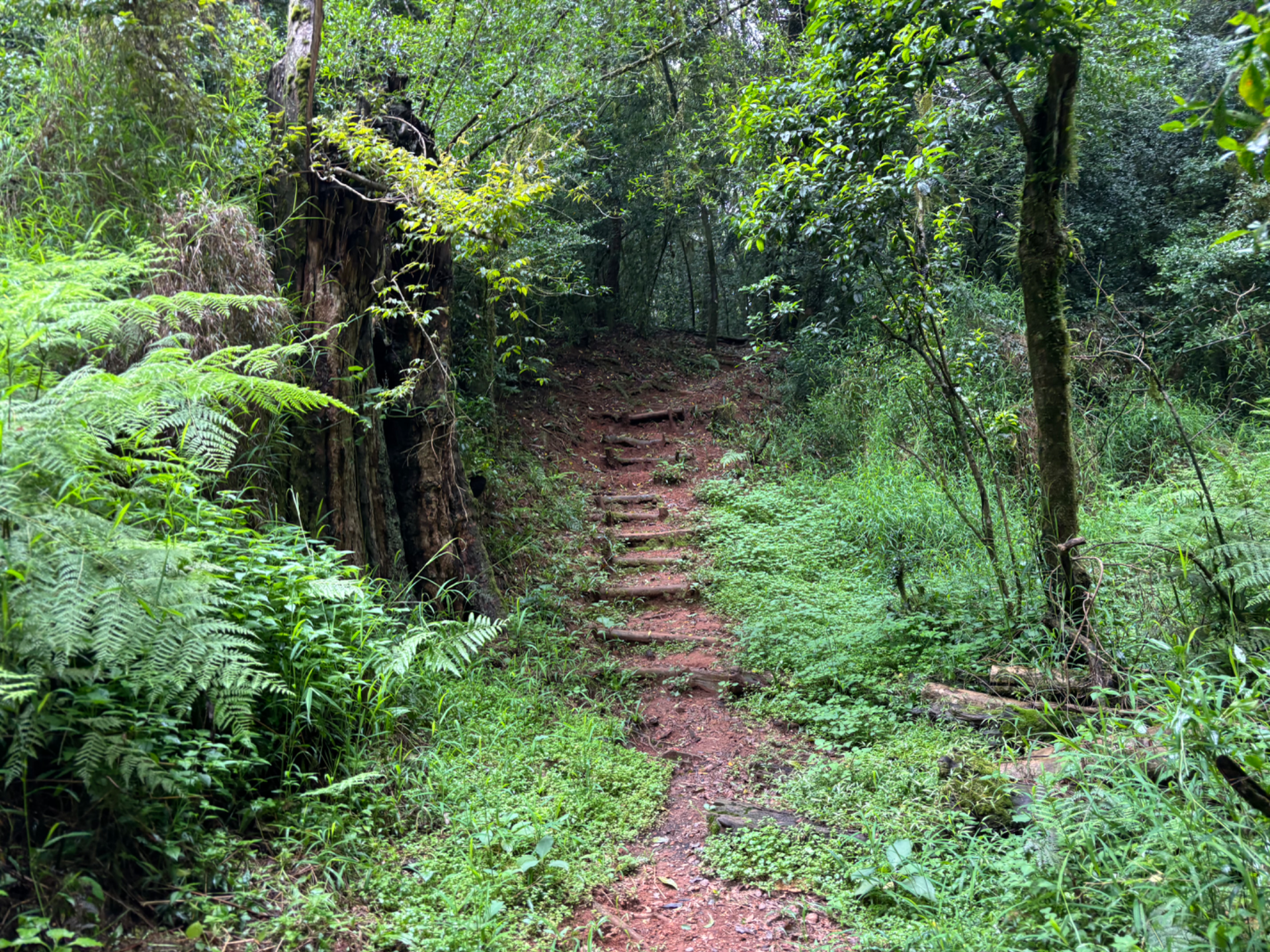 ciampi portfolio work