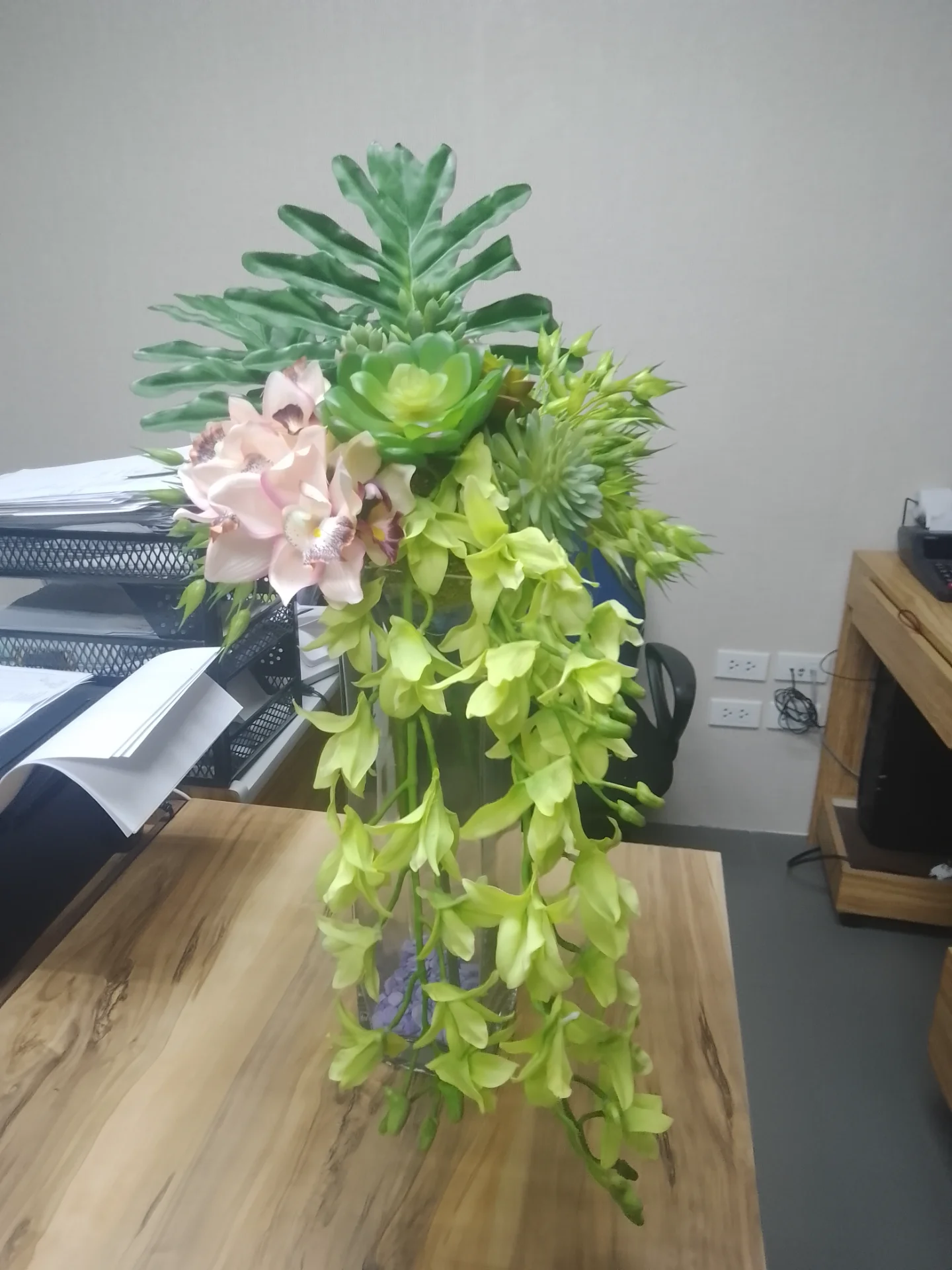 inbound1143608553118813221