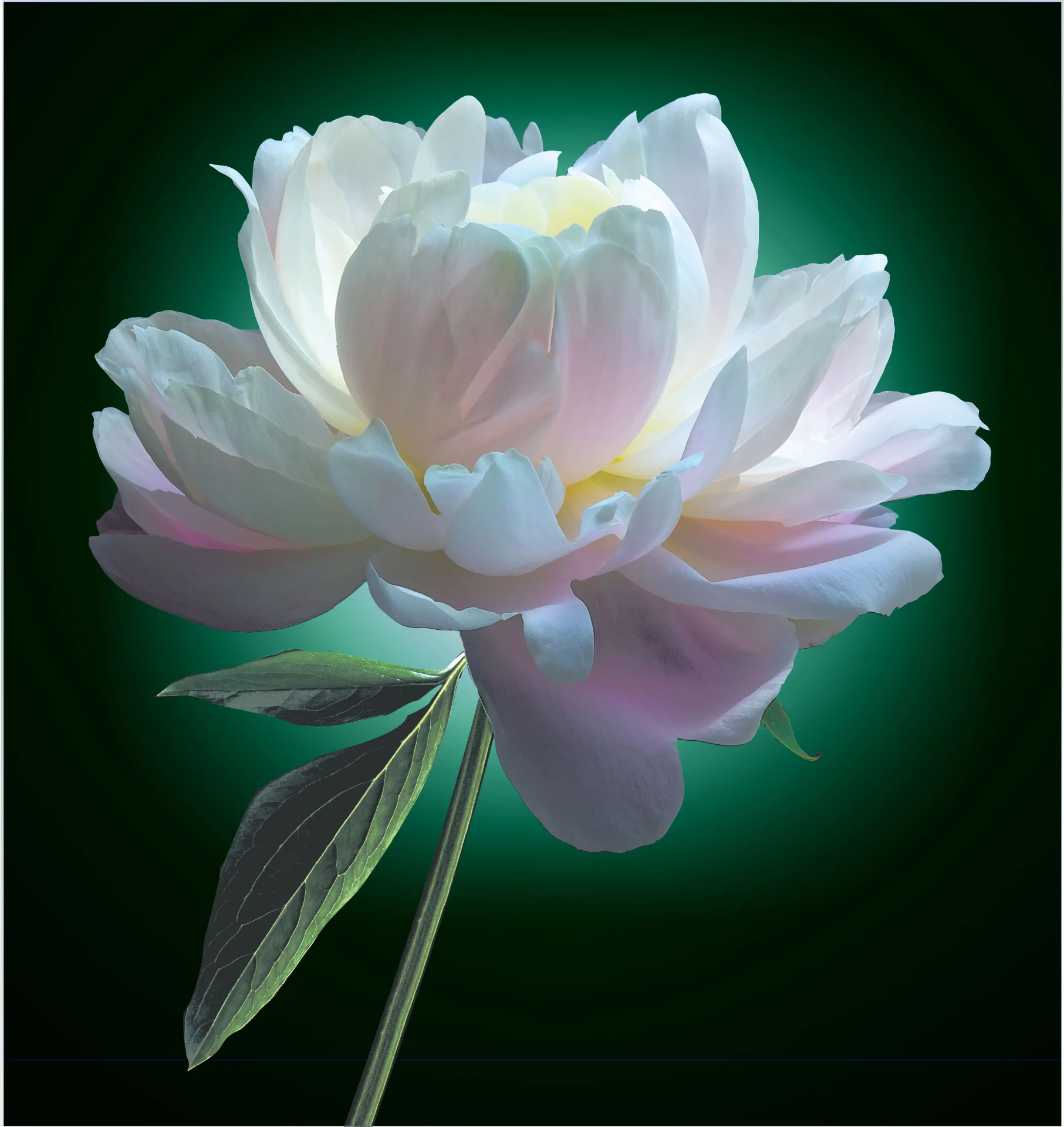 inbound6255710909085792338