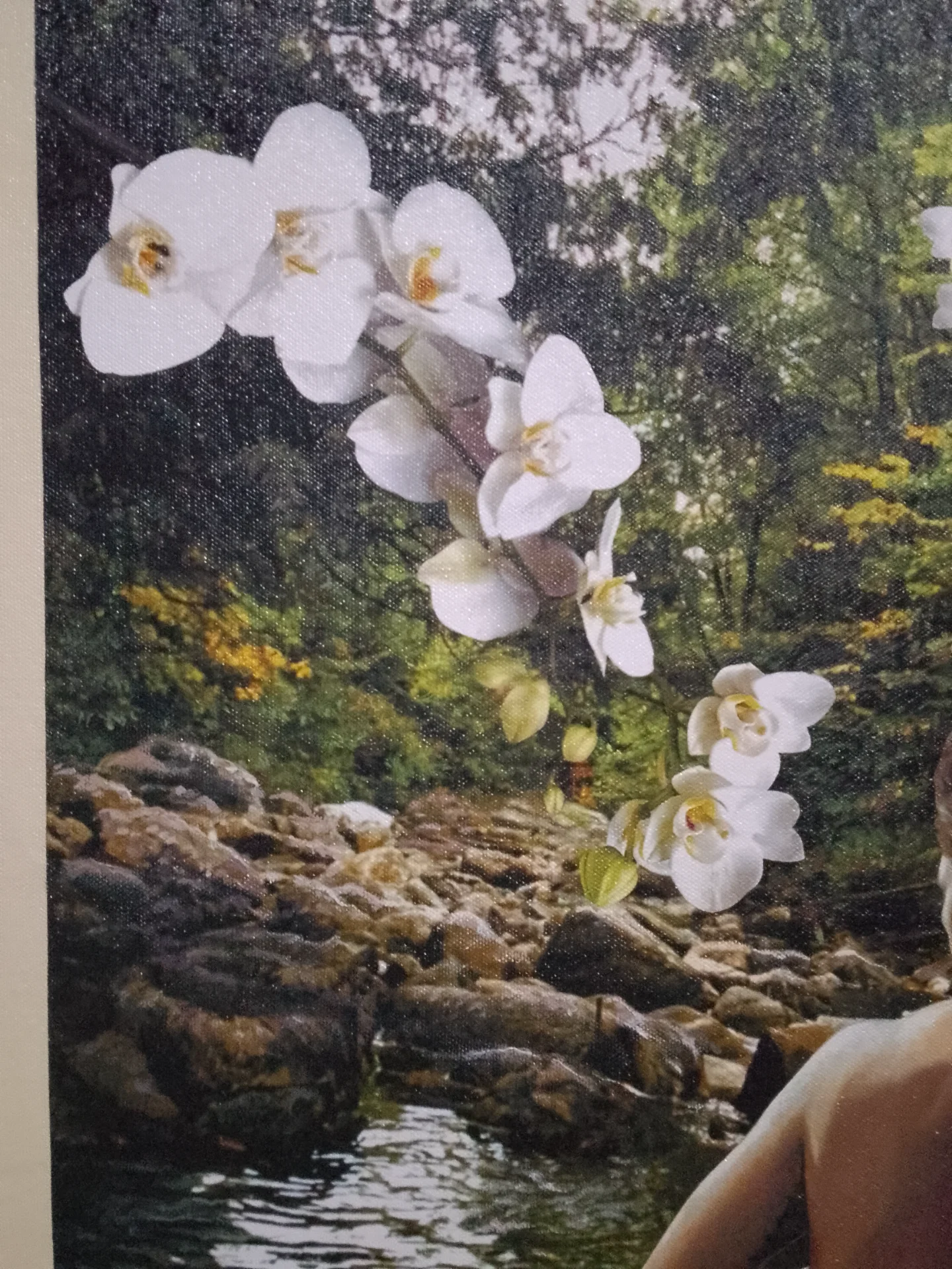 inbound2909948569119545749