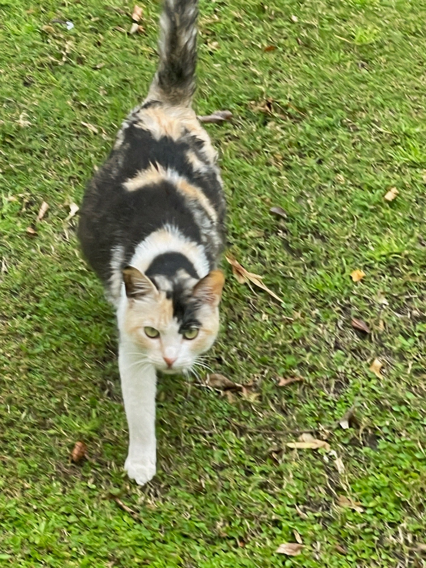 EDE0E06C-AED5-40ED-8D3A-67D010C9DD8F