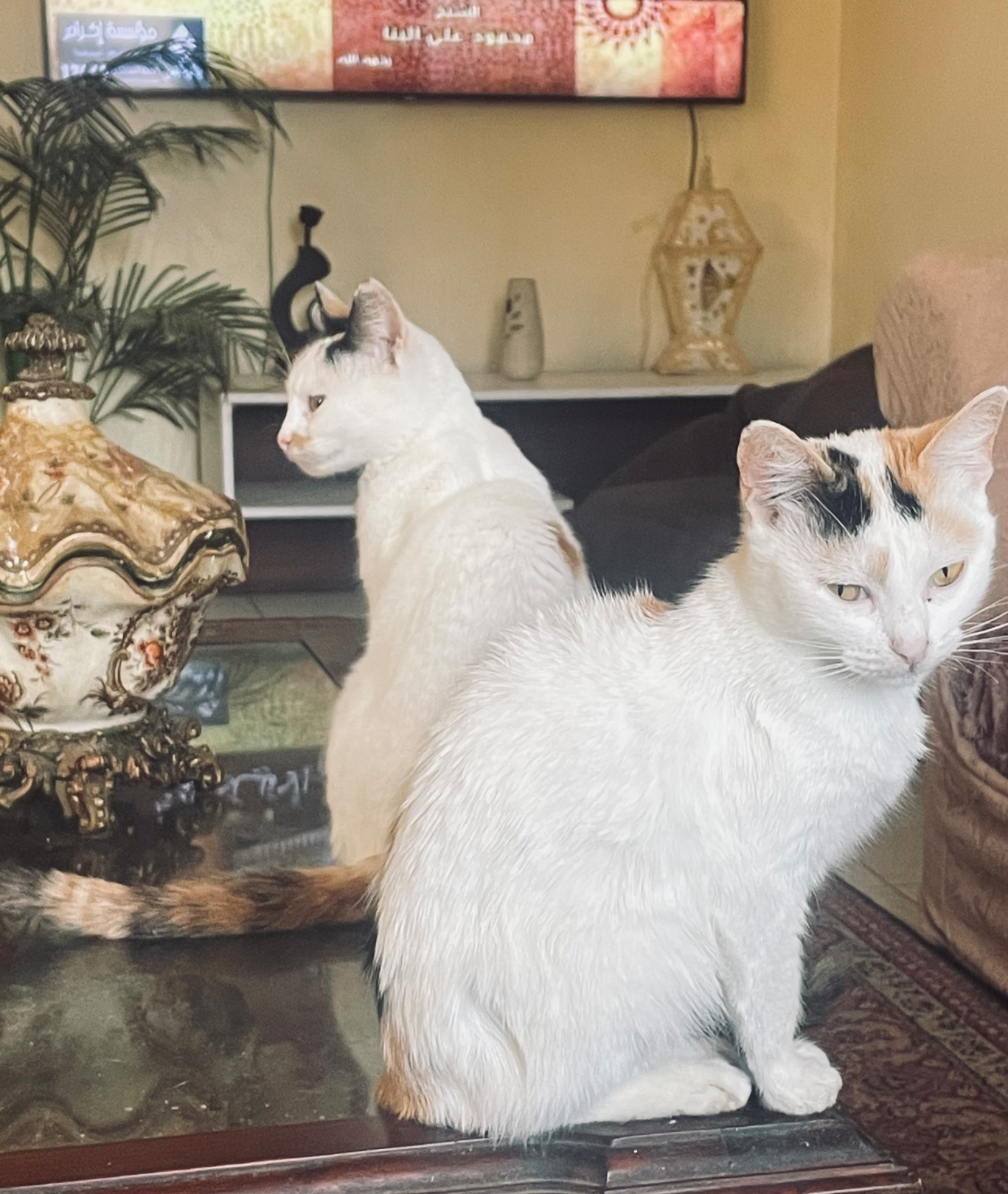 C430E95A-9742-41F5-9336-0D2AD9D64BD7