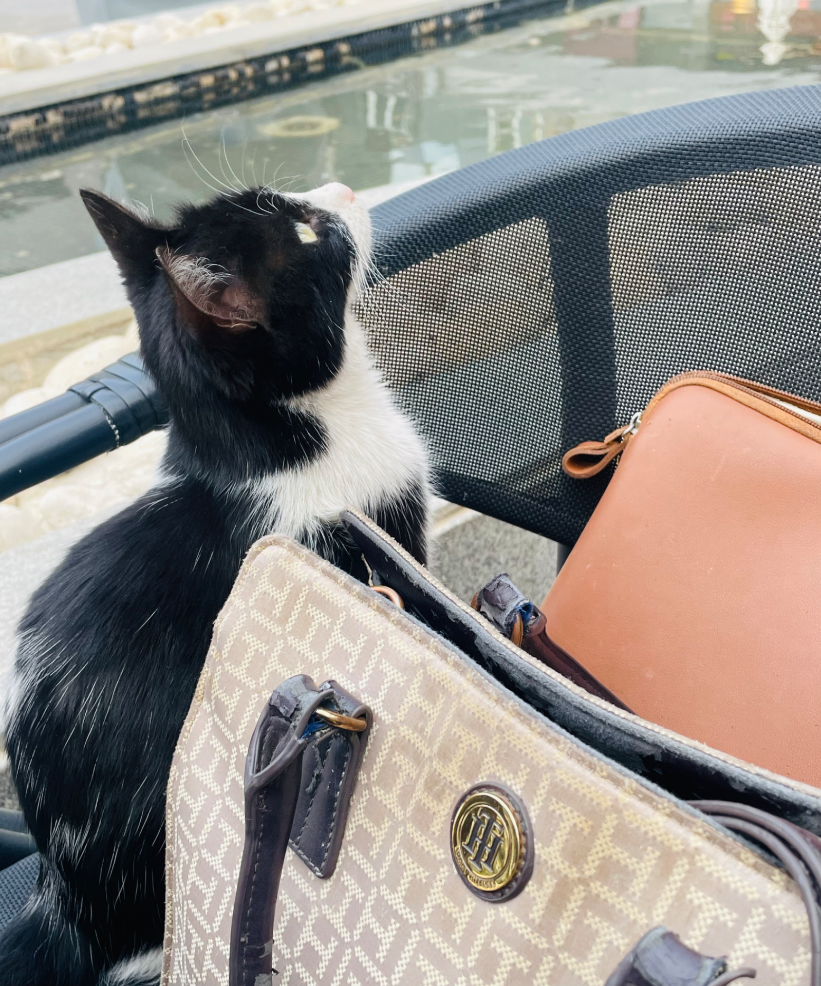 E8572C2B-8ED8-449C-A9BE-4FB5C5C8FA3F