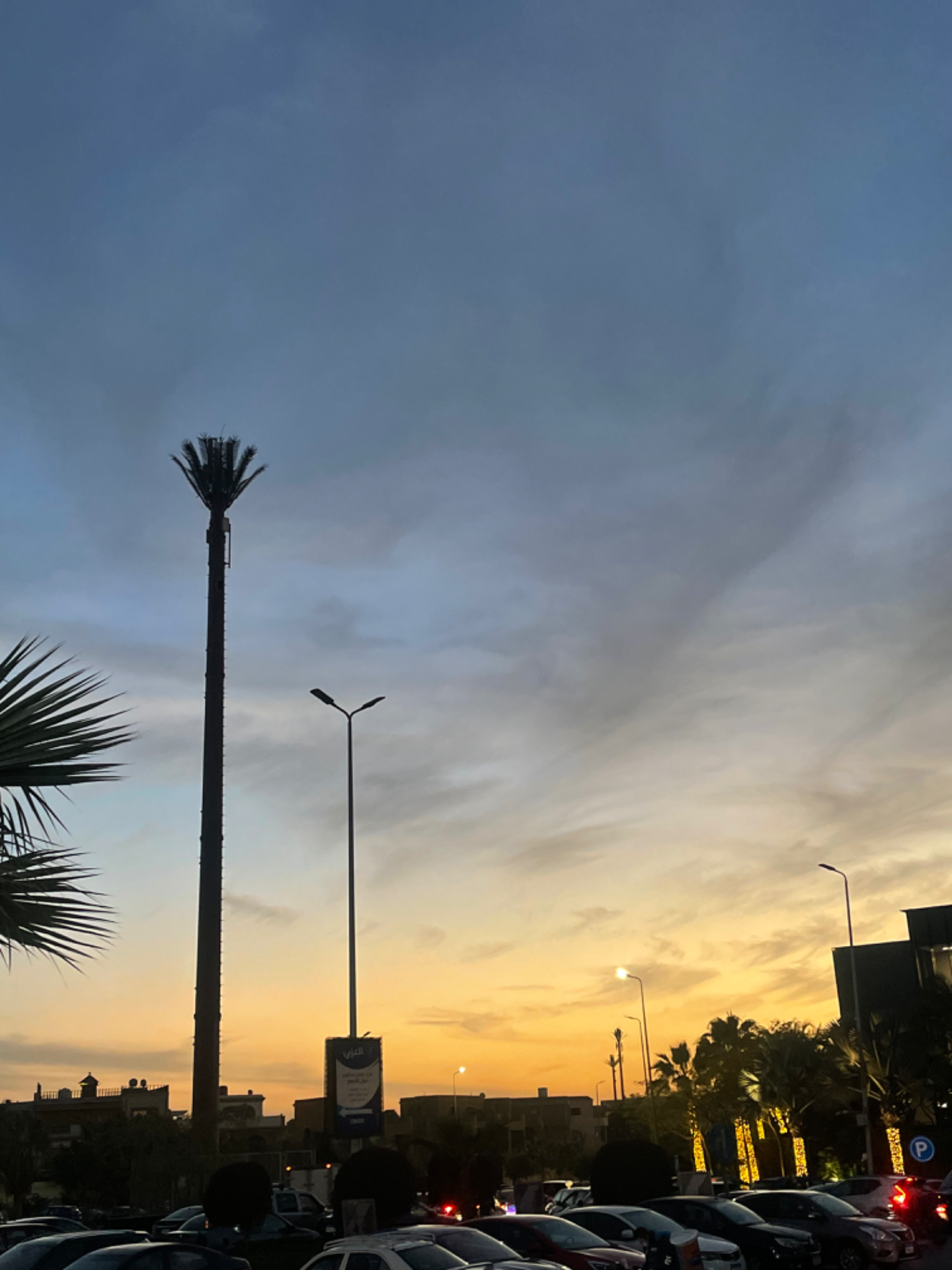 512E43FD-1F17-47D8-9B0D-812D8152E1B6