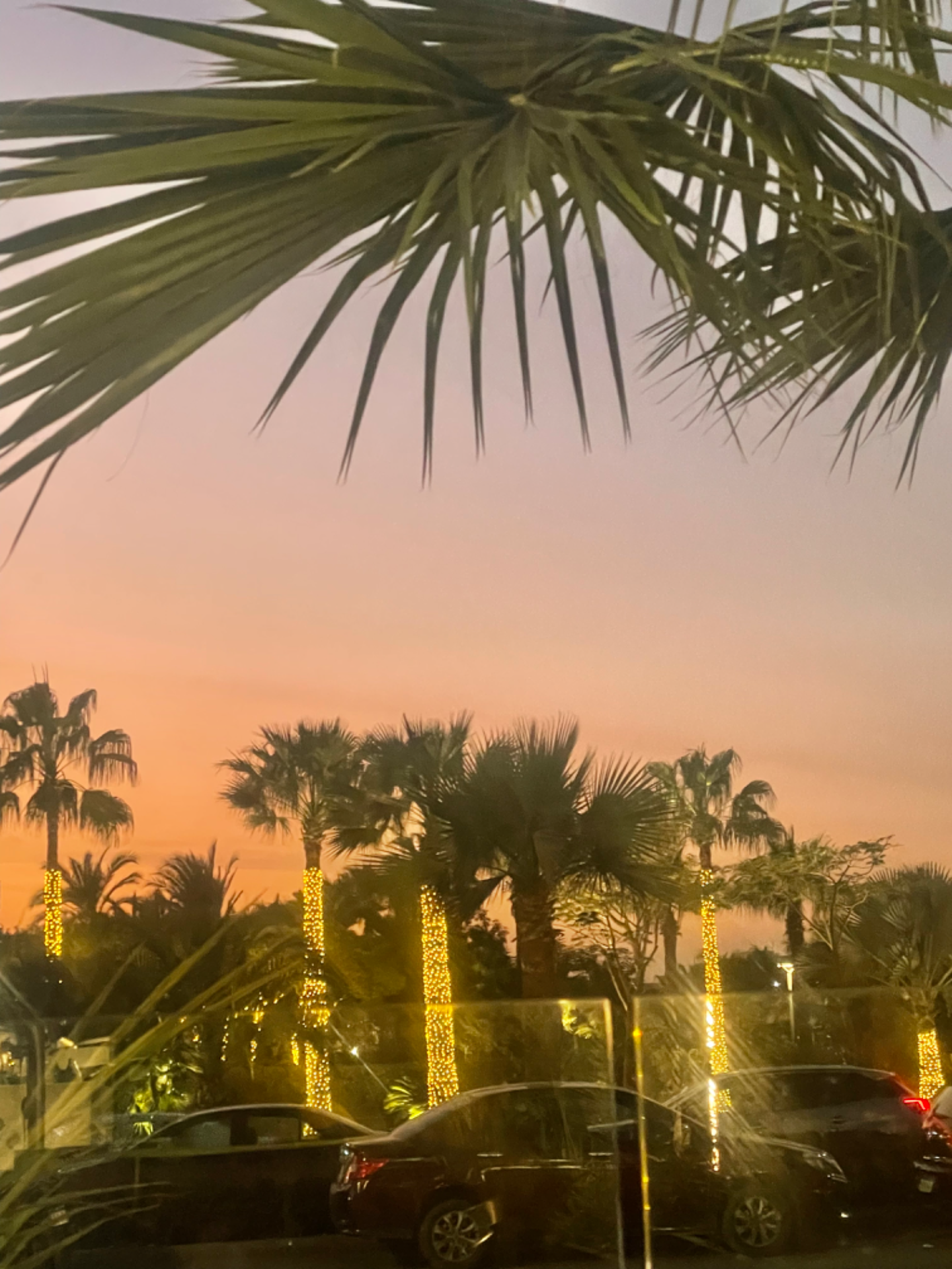 EB32755D-FB5B-4763-82EA-63FC747D2B53