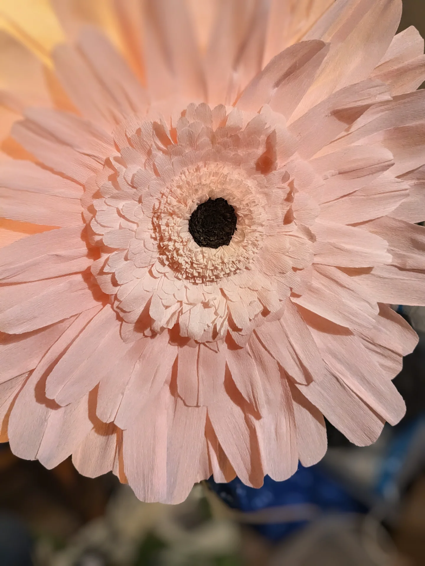 inbound966308985408281275