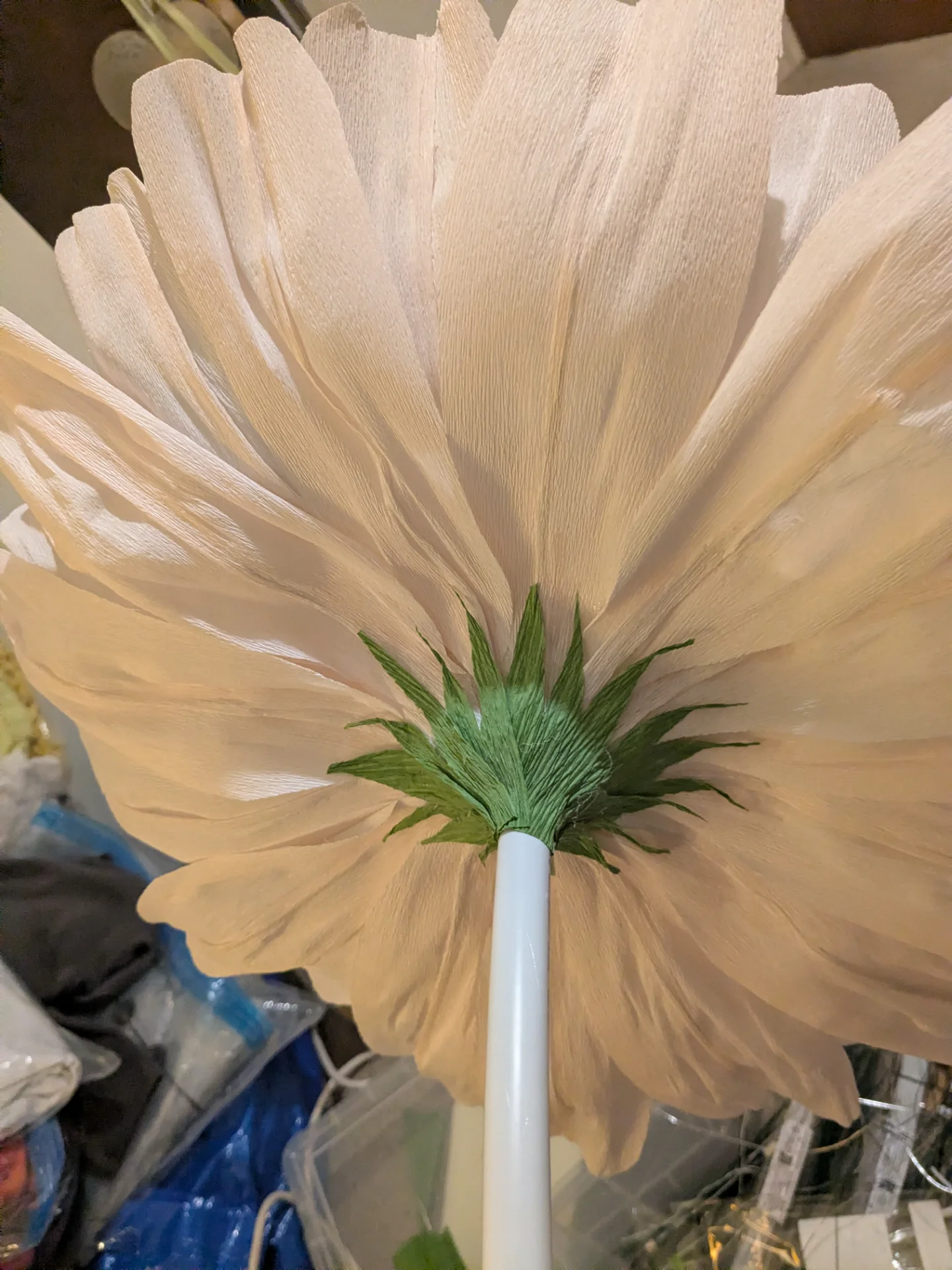 inbound6481261250797770990