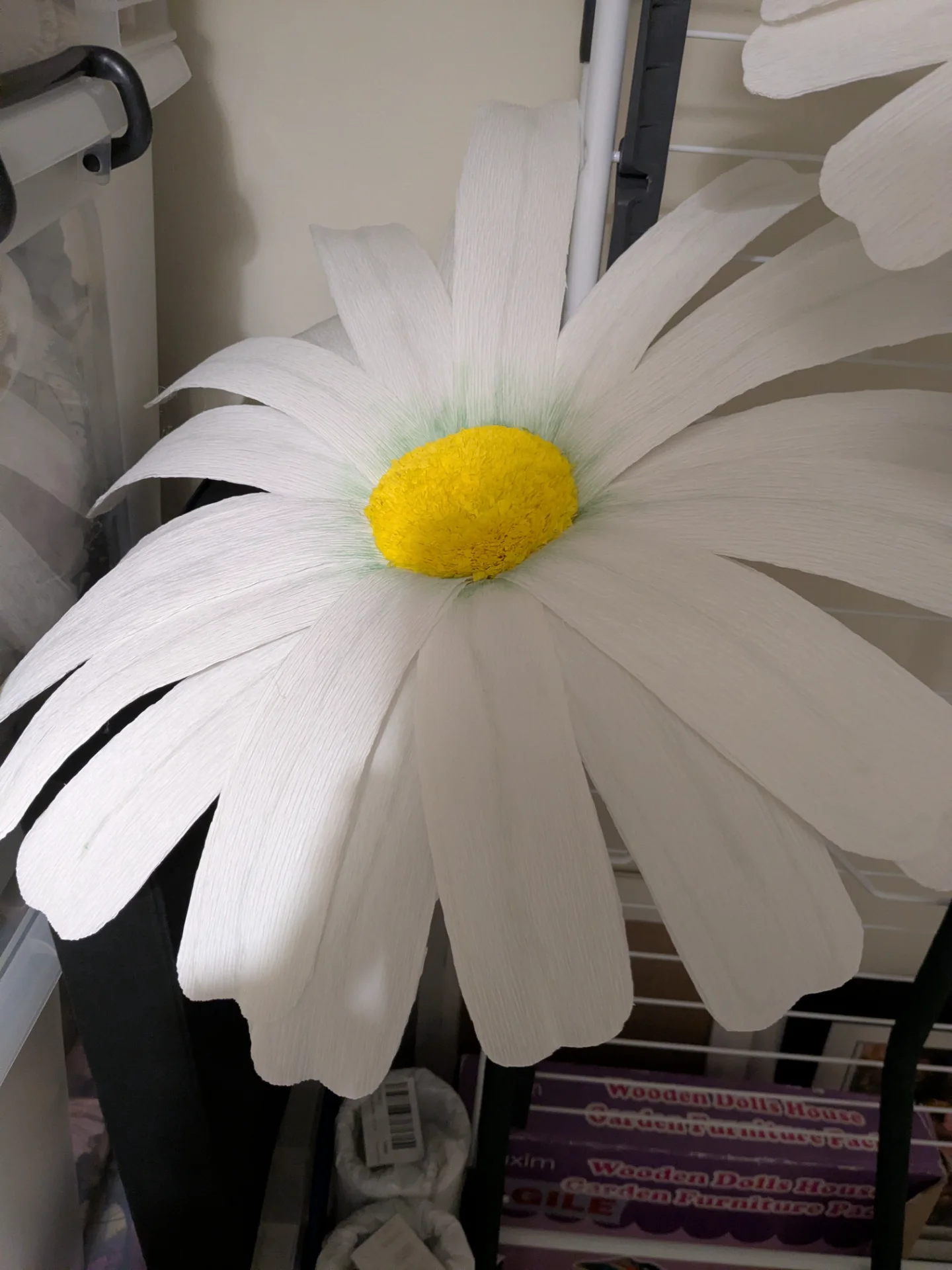 inbound3764767555860954579