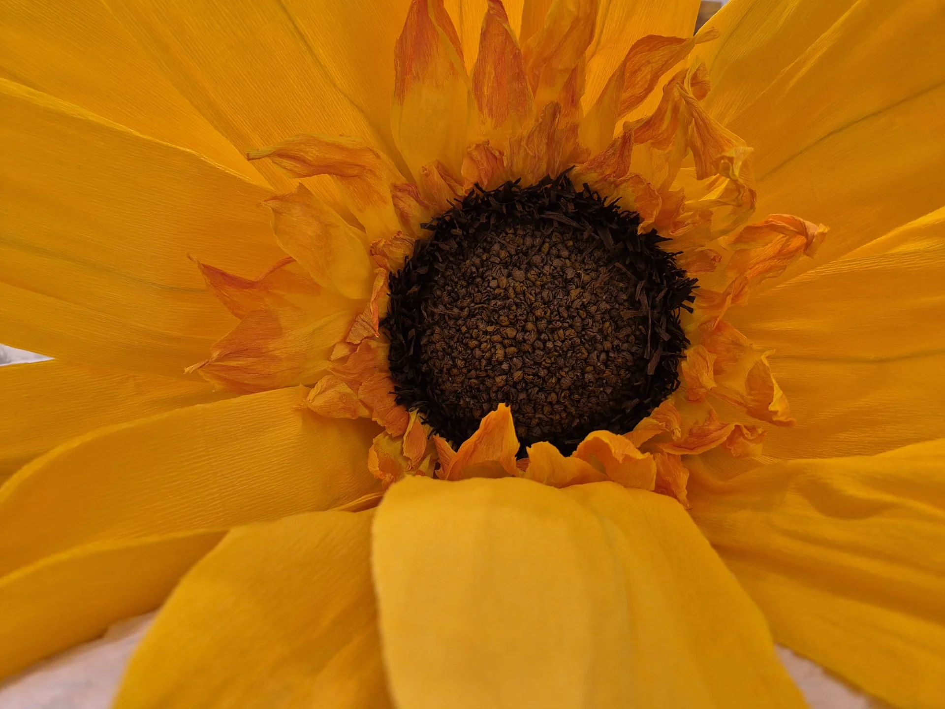 inbound7159093350904443682