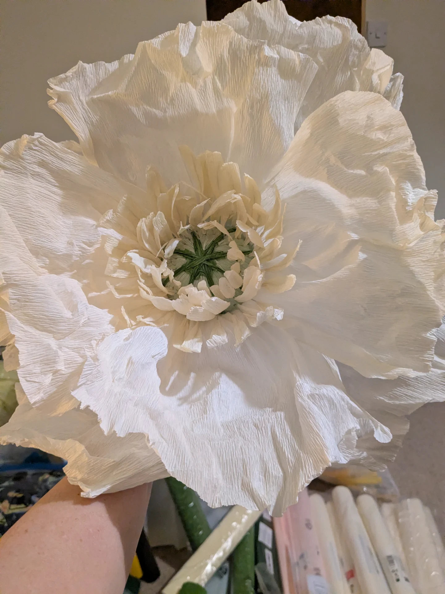 inbound6406068252265064546