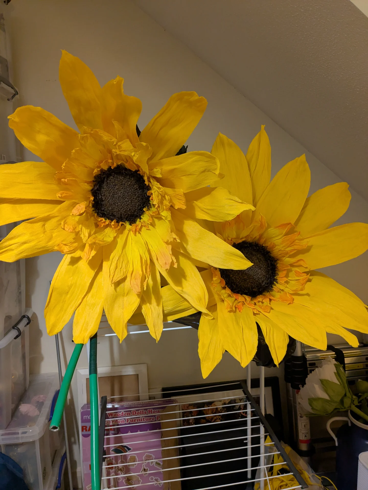 inbound8978044211423511818