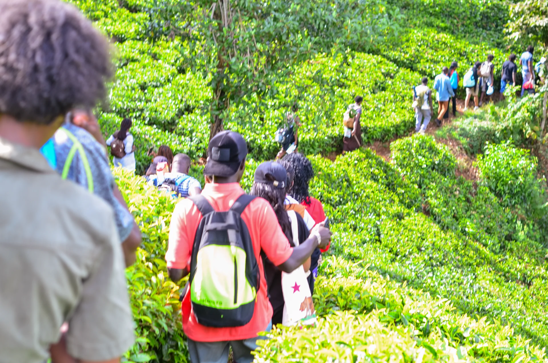 brucephotography portfolio work