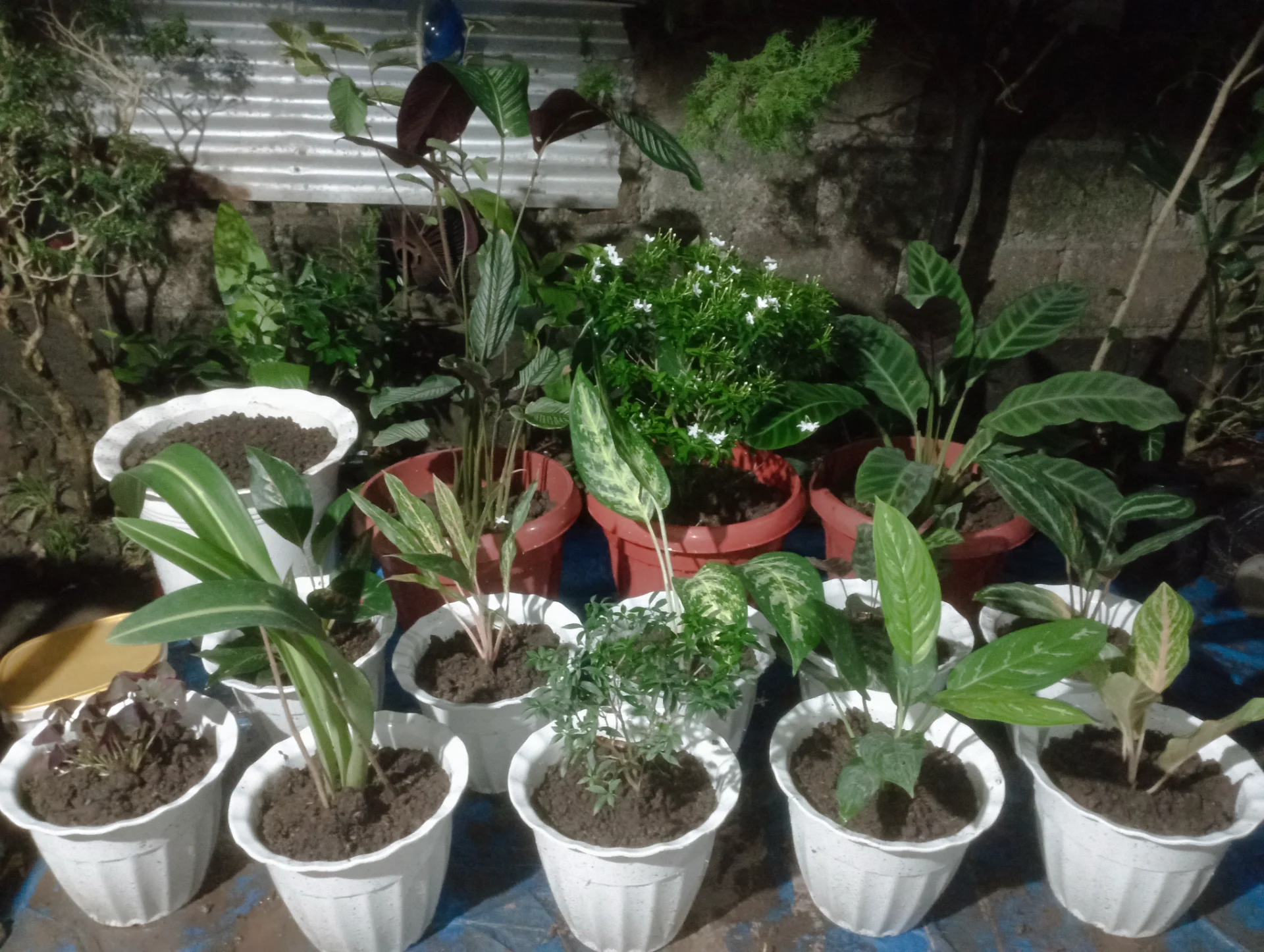 inbound557641624083439200