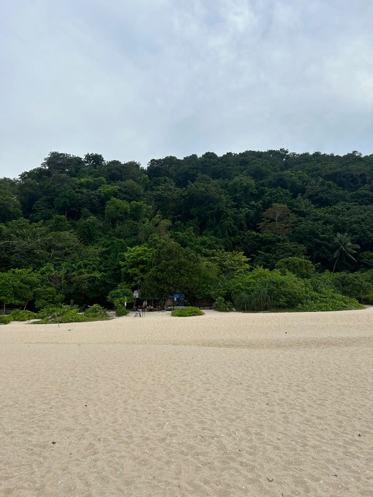 inbound164271646753410305